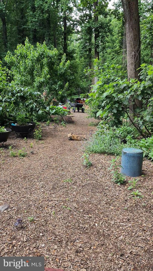 5300 SUMMIT DR, FAIRFAX, Virginia 22030, 4 Bedrooms Bedrooms, ,3 BathroomsBathrooms,Residential,For sale,5300 SUMMIT DR,VAFX2281514 MLS # VAFX2281514