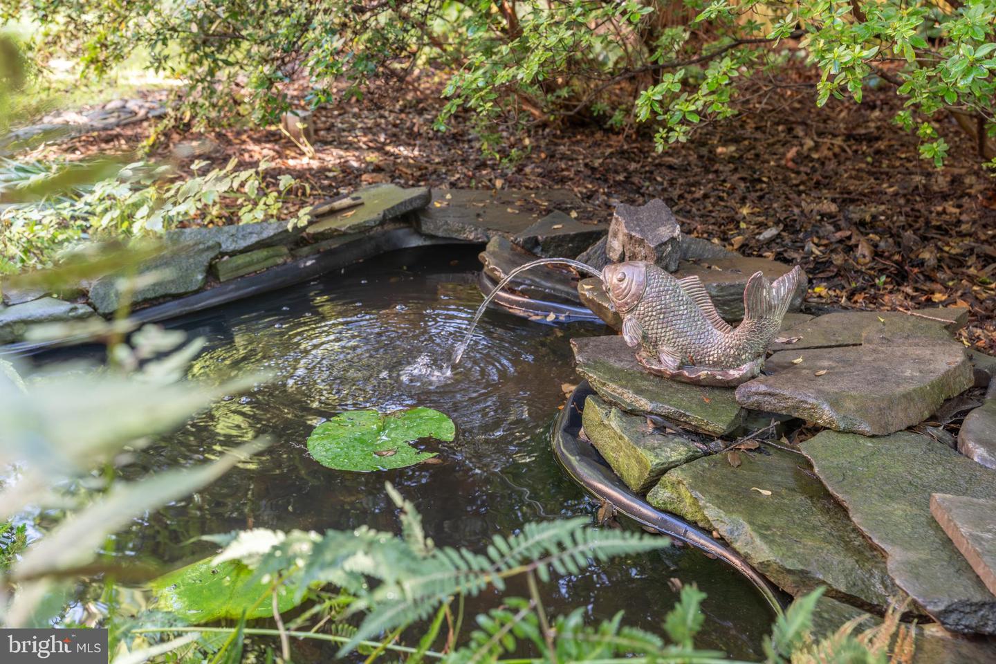 4920 PALISADE LN NW, WASHINGTON, District Of Columbia 20016, 6 Bedrooms Bedrooms, 19 Rooms Rooms,5 BathroomsBathrooms,Residential,For sale,4920 PALISADE LN NW,DCDC2234310 MLS # DCDC2234310 4920 PALISADE LN NW, WASHINGTON, District Of Columbia 20016, 6 Bedrooms Bedrooms, 19 Rooms Rooms,5 BathroomsBathrooms,Residential,For sale,4920 PALISADE LN NW,DCDC2234310 MLS # DCDC2234310