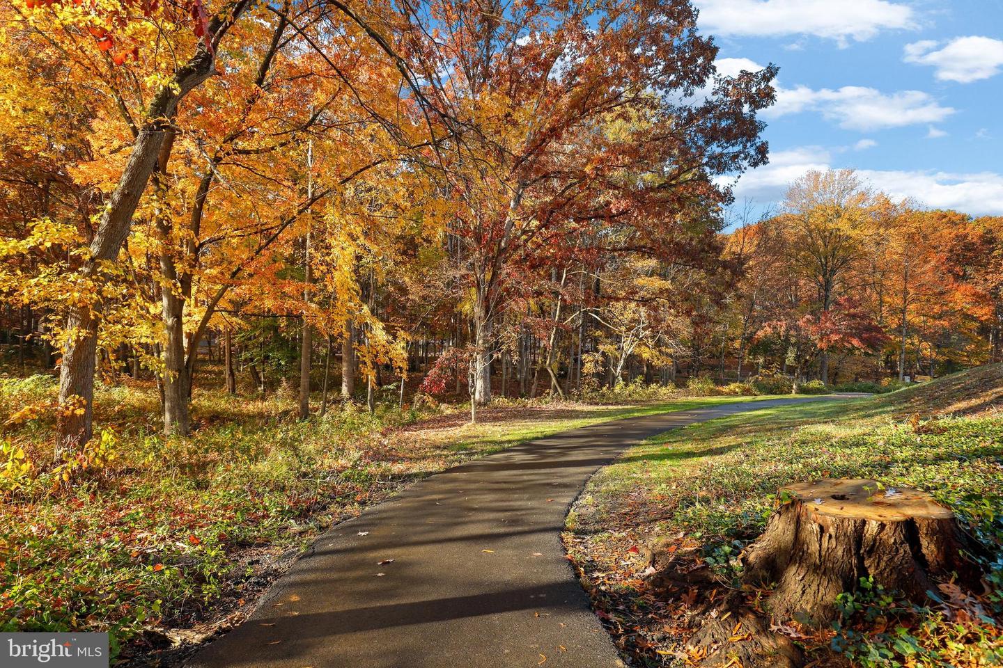 207 SPOTSWOOD RD, LOCUST GROVE, Virginia 22508, 4 Bedrooms Bedrooms, ,2 BathroomsBathrooms,Residential,For sale,207 SPOTSWOOD RD,VAOR2012922 MLS # VAOR2012922