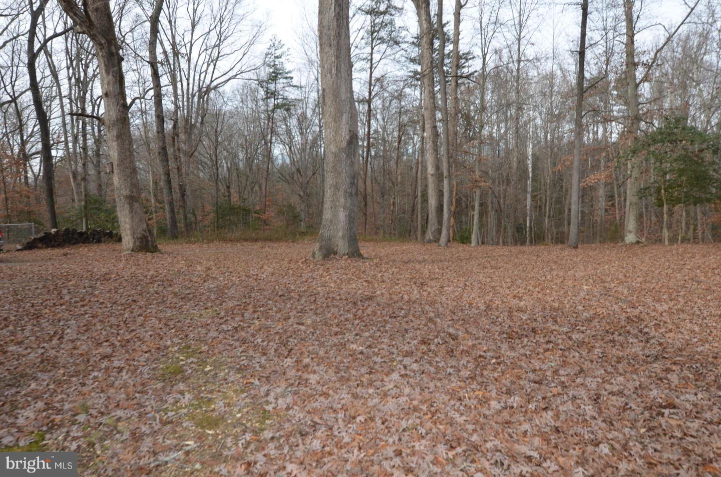 11418 JERSEY RD, KING GEORGE, Virginia 22485, 3 Bedrooms Bedrooms, ,2 BathroomsBathrooms,Residential,For sale,11418 JERSEY RD,VAKG2007364 MLS # VAKG2007364 11418 JERSEY RD, KING GEORGE, Virginia 22485, 3 Bedrooms Bedrooms, ,2 BathroomsBathrooms,Residential,For sale,11418 JERSEY RD,VAKG2007364 MLS # VAKG2007364