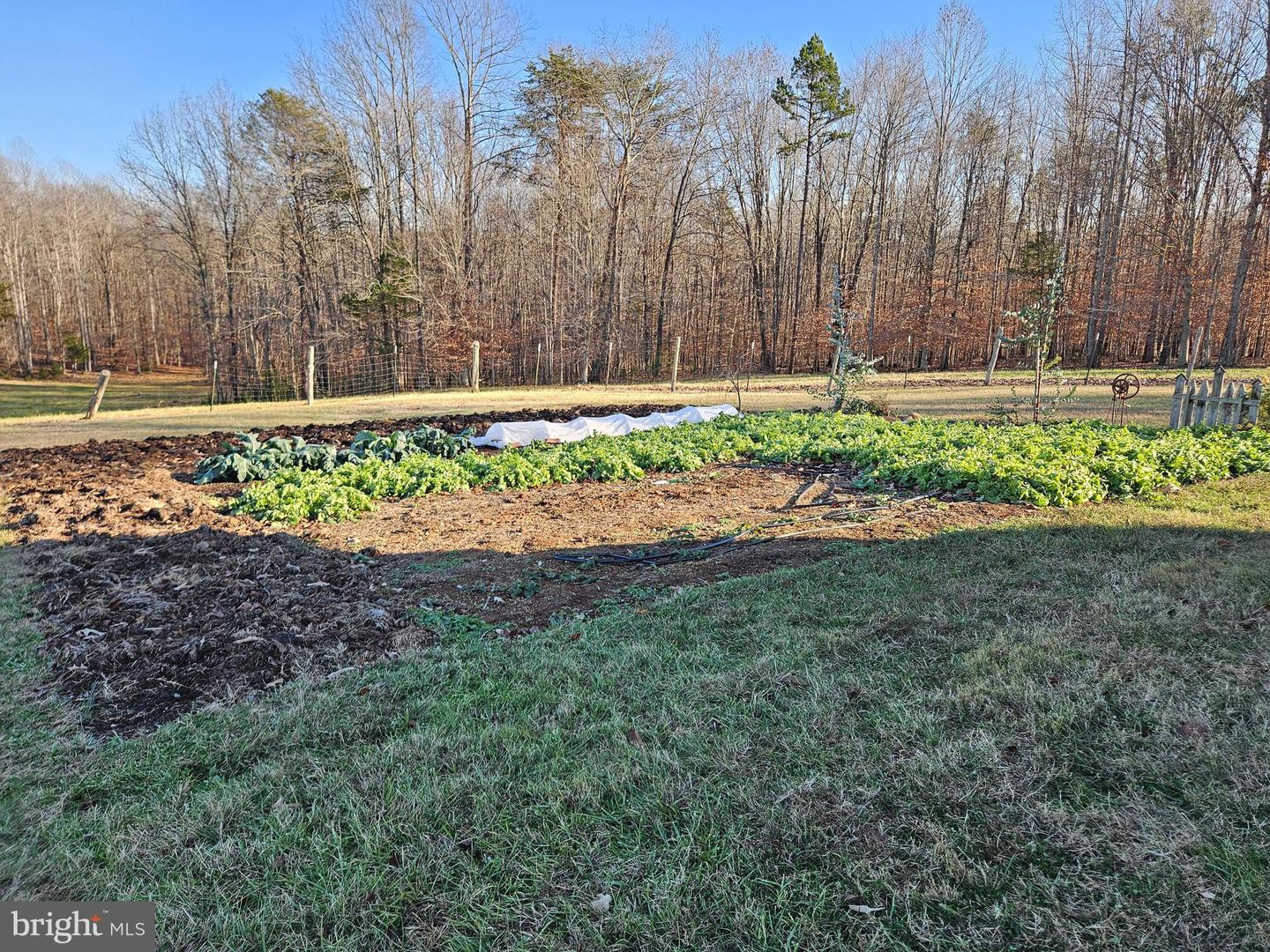 3814 S CONSTITUTION RTE, DILLWYN, Virginia 23936, 3 Bedrooms Bedrooms, 6 Rooms Rooms,1 BathroomBathrooms,Residential,For sale,3814 S CONSTITUTION RTE,VABH2000250 MLS # VABH2000250 3814 S CONSTITUTION RTE, DILLWYN, Virginia 23936, 3 Bedrooms Bedrooms, 6 Rooms Rooms,1 BathroomBathrooms,Residential,For sale,3814 S CONSTITUTION RTE,VABH2000250 MLS # VABH2000250