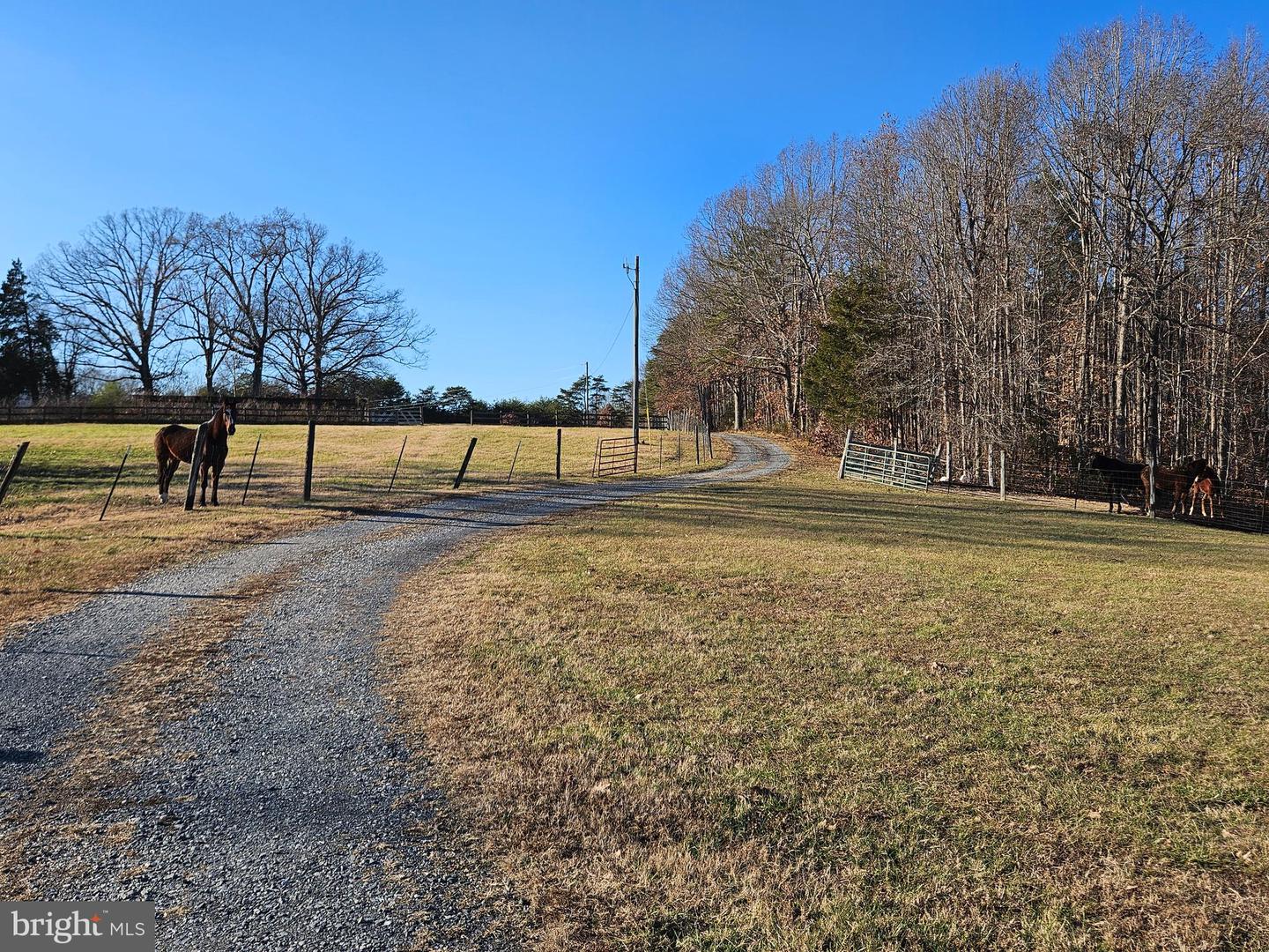 3814 S CONSTITUTION RTE, DILLWYN, Virginia 23936, 3 Bedrooms Bedrooms, 6 Rooms Rooms,1 BathroomBathrooms,Residential,For sale,3814 S CONSTITUTION RTE,VABH2000250 MLS # VABH2000250 3814 S CONSTITUTION RTE, DILLWYN, Virginia 23936, 3 Bedrooms Bedrooms, 6 Rooms Rooms,1 BathroomBathrooms,Residential,For sale,3814 S CONSTITUTION RTE,VABH2000250 MLS # VABH2000250