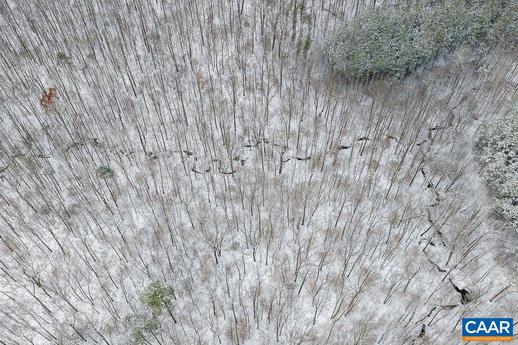 382 PATRICK HENRY PL, LOUISA, Virginia 23093, 3 Bedrooms Bedrooms, ,2 BathroomsBathrooms,Residential,For sale,382 PATRICK HENRY PL,671750 MLS # 671750 382 PATRICK HENRY PL, LOUISA, Virginia 23093, 3 Bedrooms Bedrooms, ,2 BathroomsBathrooms,Residential,For sale,382 PATRICK HENRY PL,671750 MLS # 671750