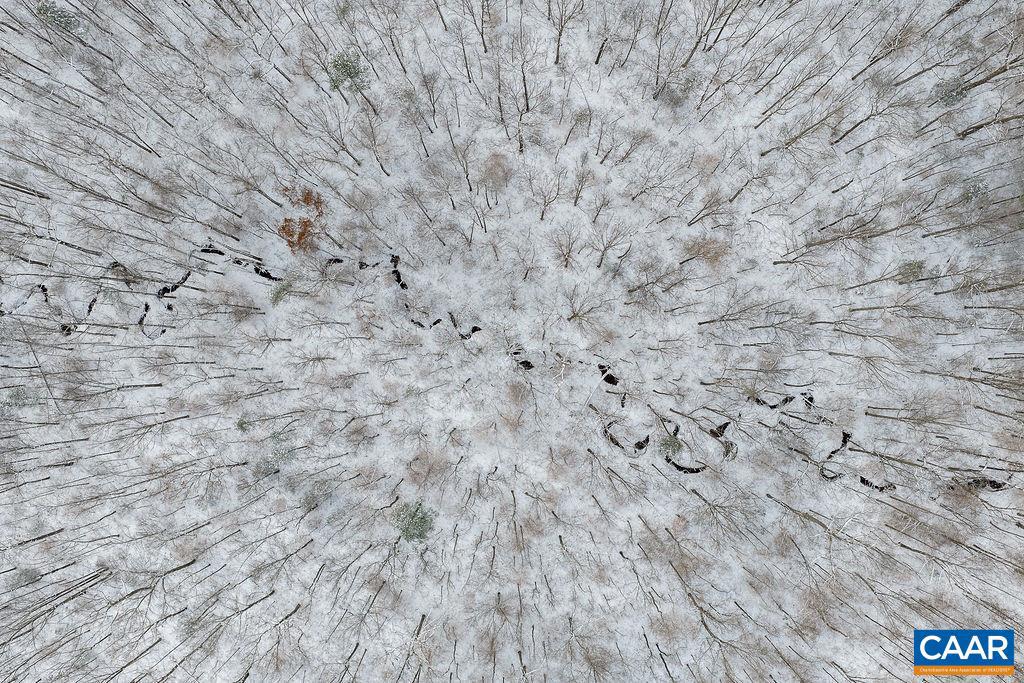 382 PATRICK HENRY PL, LOUISA, Virginia 23093, 3 Bedrooms Bedrooms, ,2 BathroomsBathrooms,Residential,For sale,382 PATRICK HENRY PL,671750 MLS # 671750 382 PATRICK HENRY PL, LOUISA, Virginia 23093, 3 Bedrooms Bedrooms, ,2 BathroomsBathrooms,Residential,For sale,382 PATRICK HENRY PL,671750 MLS # 671750