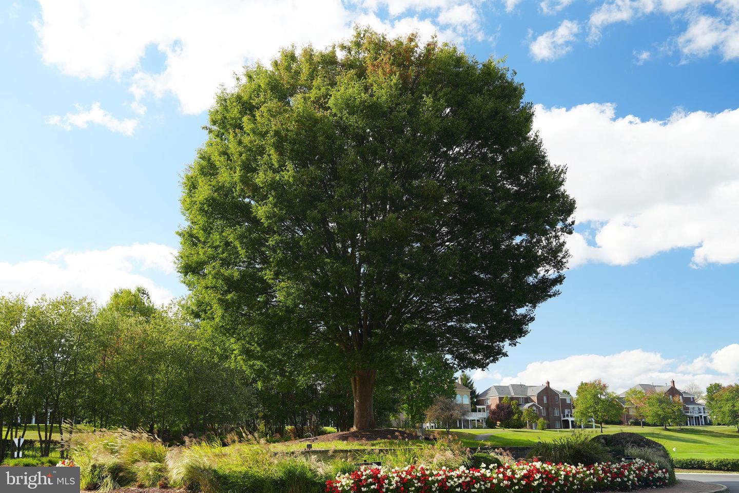 19883 NAPLES LAKES TER, ASHBURN, Virginia 20147, 4 Bedrooms Bedrooms, ,3 BathroomsBathrooms,Residential,For sale,19883 NAPLES LAKES TER,VALO2112222 MLS # VALO2112222 19883 NAPLES LAKES TER, ASHBURN, Virginia 20147, 4 Bedrooms Bedrooms, ,3 BathroomsBathrooms,Residential,For sale,19883 NAPLES LAKES TER,VALO2112222 MLS # VALO2112222