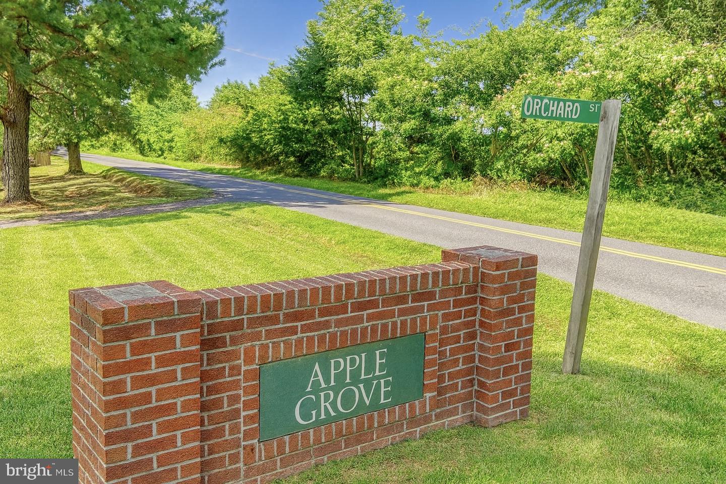 ORCHARD ST, LOCUST GROVE, Virginia 22508, ,Land,For sale,ORCHARD ST,VAOR2010568 MLS # VAOR2010568 ORCHARD ST, LOCUST GROVE, Virginia 22508, ,Land,For sale,ORCHARD ST,VAOR2010568 MLS # VAOR2010568