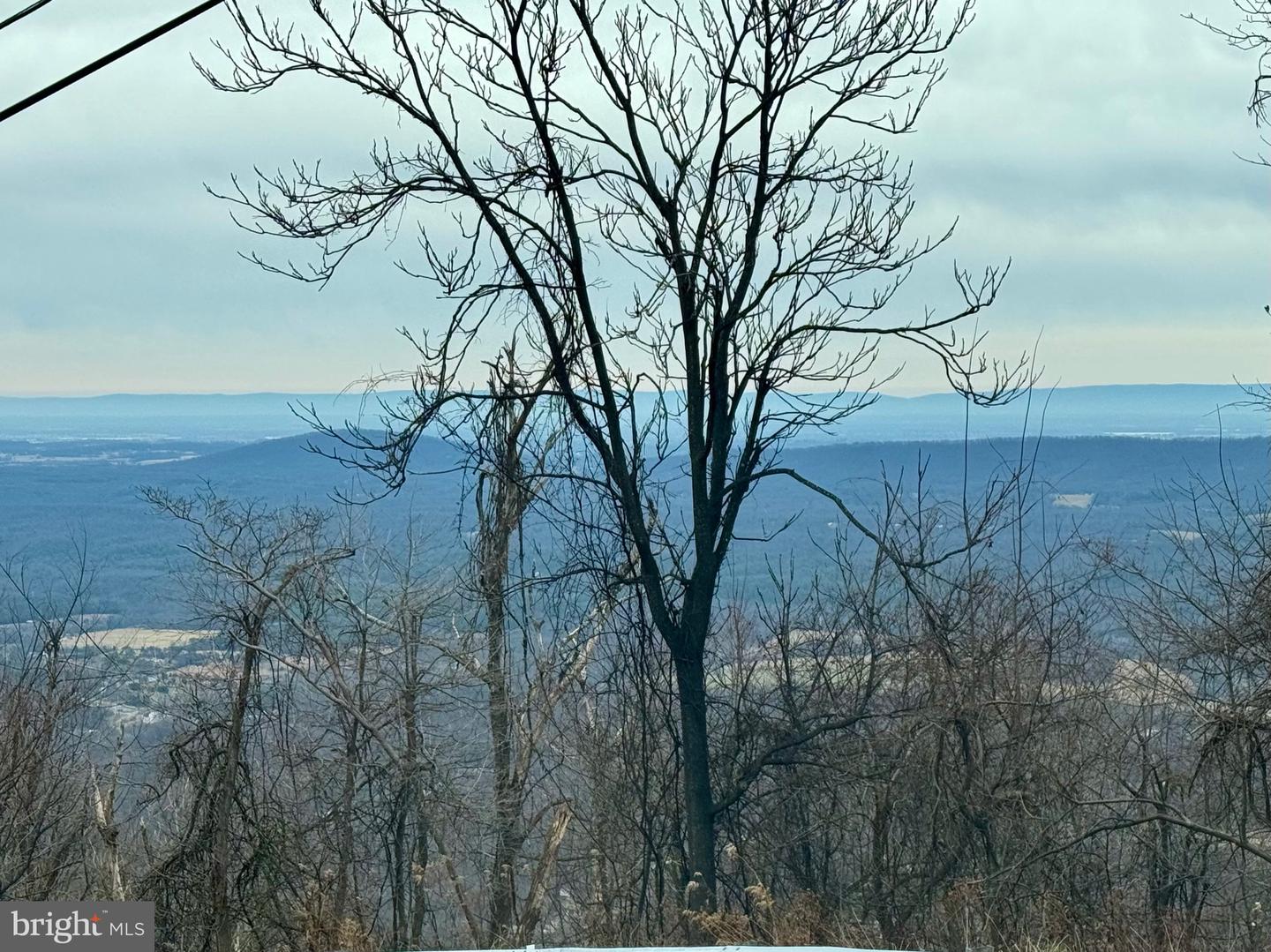 LOT 153 BOBCAT TRL, WINCHESTER, Virginia 22602, ,Land,For sale,-LOT 153 BOBCAT TRL,VAFV2038190 MLS # VAFV2038190 LOT 153 BOBCAT TRL, WINCHESTER, Virginia 22602, ,Land,For sale,-LOT 153 BOBCAT TRL,VAFV2038190 MLS # VAFV2038190