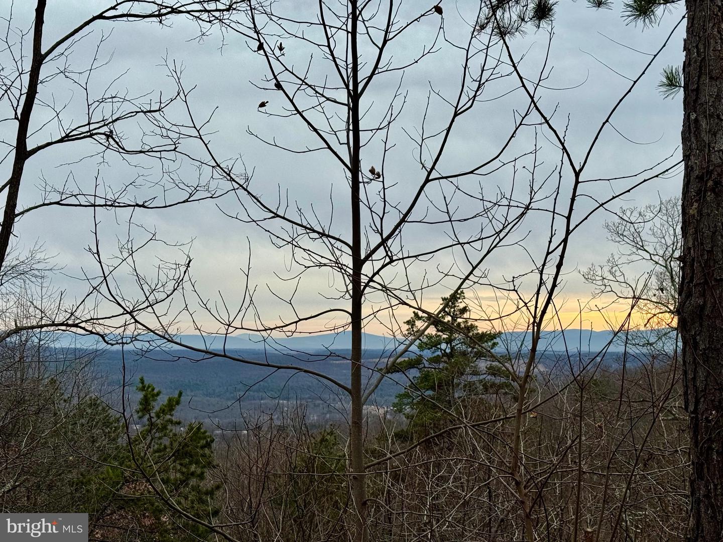 LOT 153 BOBCAT TRL, WINCHESTER, Virginia 22602, ,Land,For sale,-LOT 153 BOBCAT TRL,VAFV2038190 MLS # VAFV2038190 LOT 153 BOBCAT TRL, WINCHESTER, Virginia 22602, ,Land,For sale,-LOT 153 BOBCAT TRL,VAFV2038190 MLS # VAFV2038190