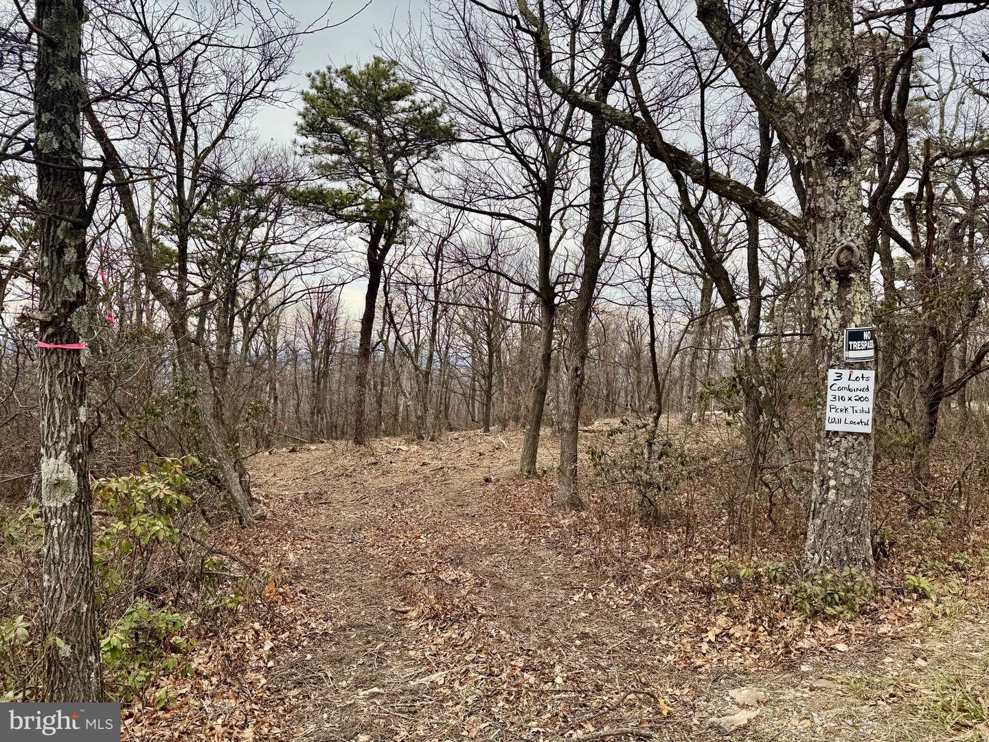 LOT 153 BOBCAT TRL, WINCHESTER, Virginia 22602, ,Land,For sale,-LOT 153 BOBCAT TRL,VAFV2038190 MLS # VAFV2038190 LOT 153 BOBCAT TRL, WINCHESTER, Virginia 22602, ,Land,For sale,-LOT 153 BOBCAT TRL,VAFV2038190 MLS # VAFV2038190