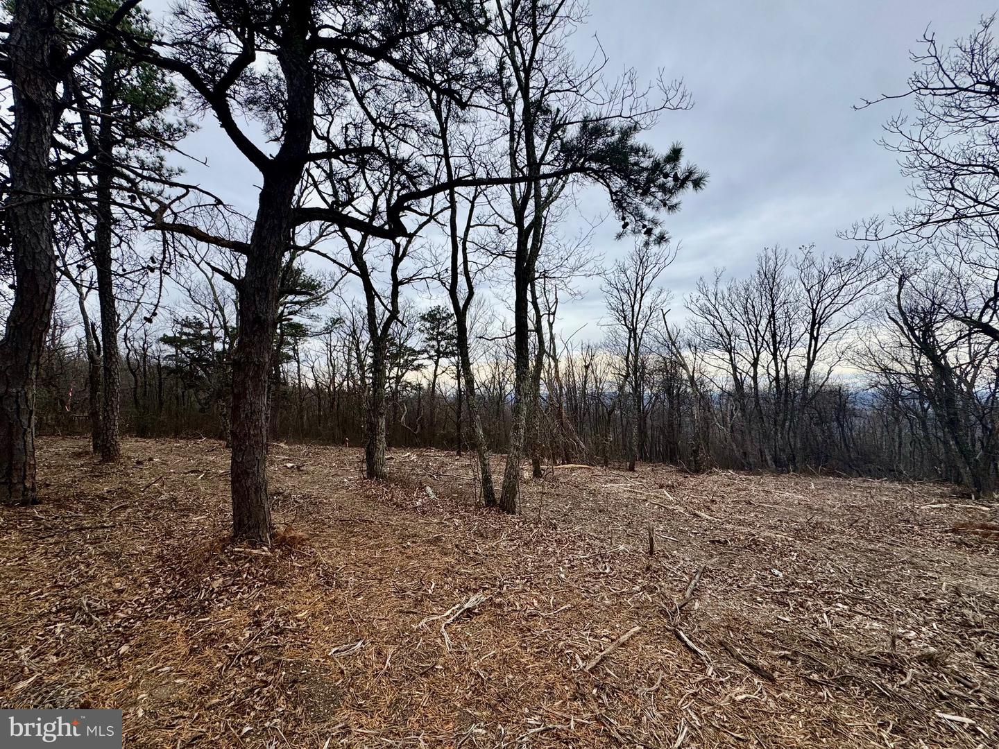 LOT 153 BOBCAT TRL, WINCHESTER, Virginia 22602, ,Land,For sale,-LOT 153 BOBCAT TRL,VAFV2038190 MLS # VAFV2038190 LOT 153 BOBCAT TRL, WINCHESTER, Virginia 22602, ,Land,For sale,-LOT 153 BOBCAT TRL,VAFV2038190 MLS # VAFV2038190