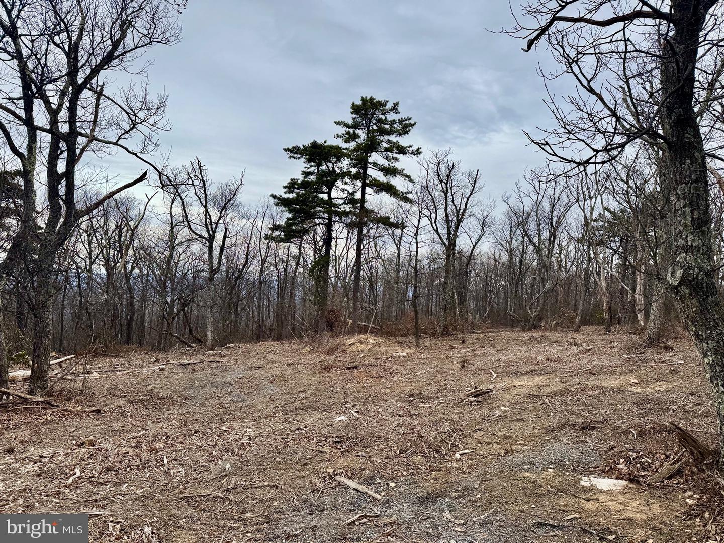 LOT 153 BOBCAT TRL, WINCHESTER, Virginia 22602, ,Land,For sale,-LOT 153 BOBCAT TRL,VAFV2038190 MLS # VAFV2038190 LOT 153 BOBCAT TRL, WINCHESTER, Virginia 22602, ,Land,For sale,-LOT 153 BOBCAT TRL,VAFV2038190 MLS # VAFV2038190