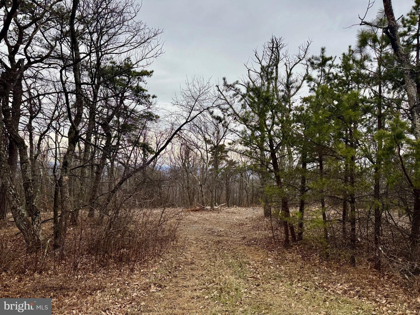 LOT 153 BOBCAT TRL, WINCHESTER, Virginia 22602, ,Land,For sale,-LOT 153 BOBCAT TRL,VAFV2038190 MLS # VAFV2038190 LOT 153 BOBCAT TRL, WINCHESTER, Virginia 22602, ,Land,For sale,-LOT 153 BOBCAT TRL,VAFV2038190 MLS # VAFV2038190