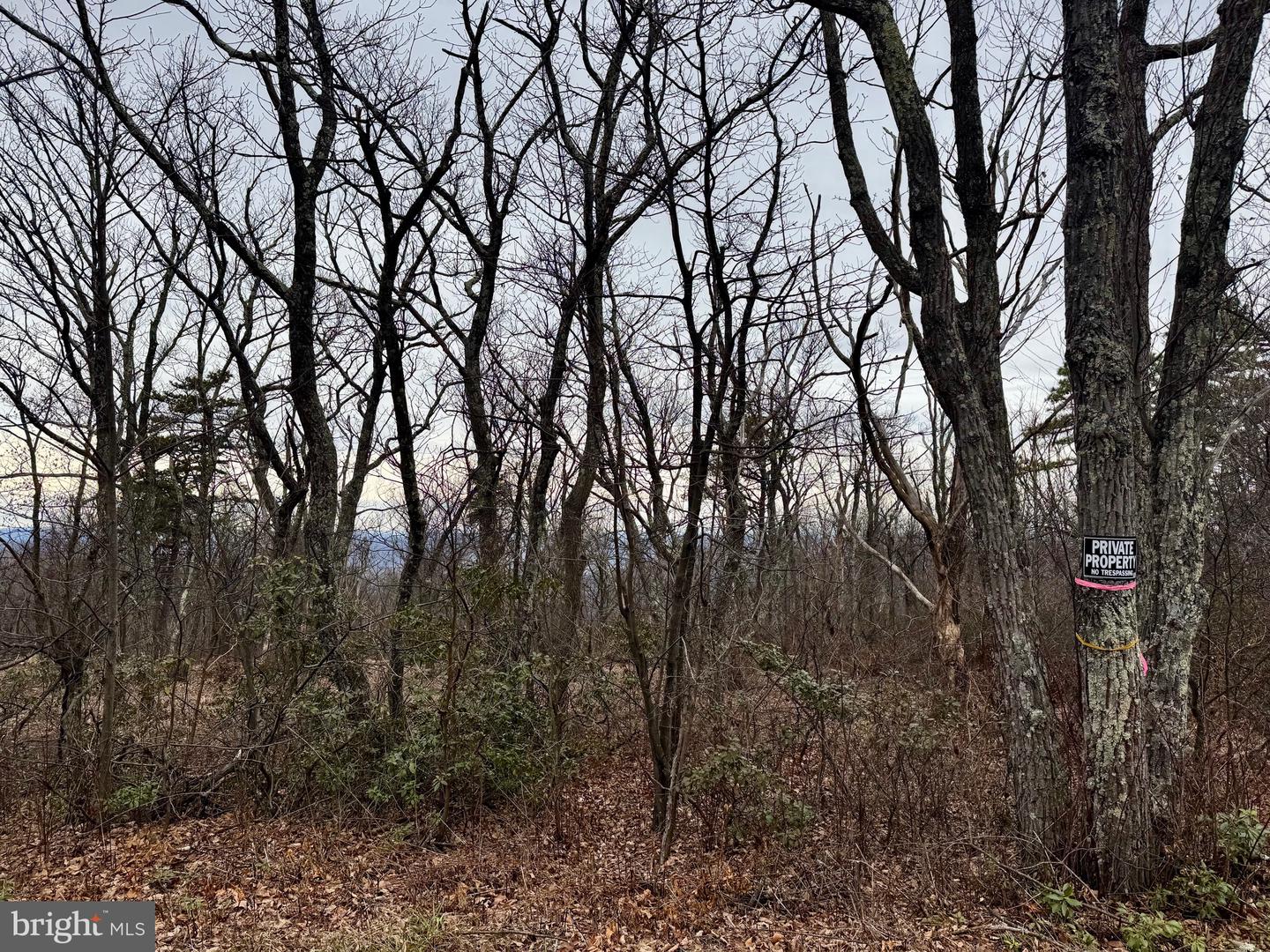 LOT 153 BOBCAT TRL, WINCHESTER, Virginia 22602, ,Land,For sale,-LOT 153 BOBCAT TRL,VAFV2038190 MLS # VAFV2038190 LOT 153 BOBCAT TRL, WINCHESTER, Virginia 22602, ,Land,For sale,-LOT 153 BOBCAT TRL,VAFV2038190 MLS # VAFV2038190