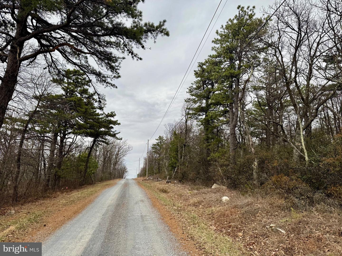 LOT 153 BOBCAT TRL, WINCHESTER, Virginia 22602, ,Land,For sale,-LOT 153 BOBCAT TRL,VAFV2038190 MLS # VAFV2038190 LOT 153 BOBCAT TRL, WINCHESTER, Virginia 22602, ,Land,For sale,-LOT 153 BOBCAT TRL,VAFV2038190 MLS # VAFV2038190