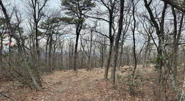 LOT 153 BOBCAT TRL, WINCHESTER, Virginia 22602, ,Land,For sale,-LOT 153 BOBCAT TRL,VAFV2038190 MLS # VAFV2038190