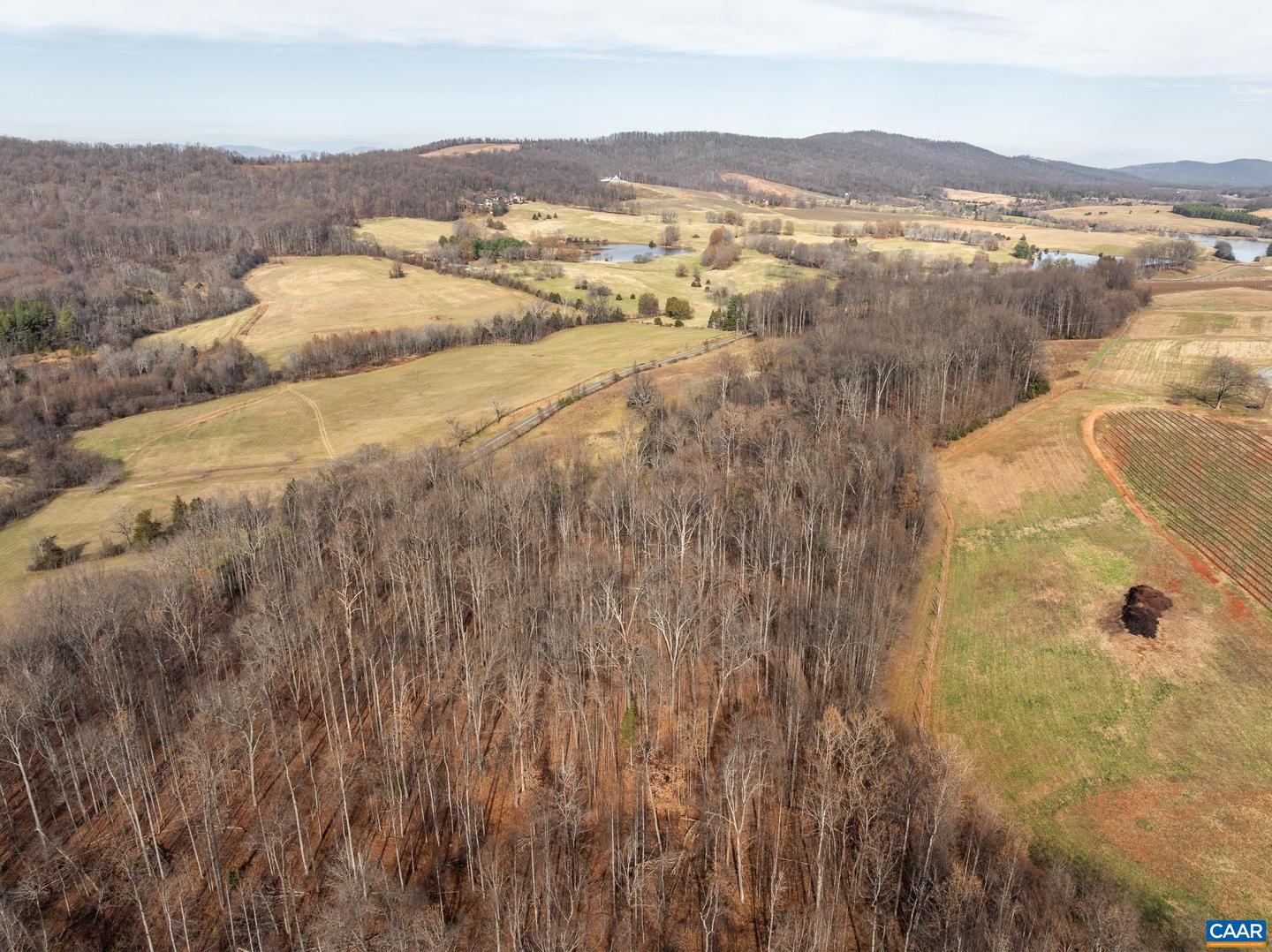 TBD CARTERS MOUNTAIN RD #2, CHARLOTTESVILLE, Virginia 22902, ,Land,For sale,TBD CARTERS MOUNTAIN RD #2,671765 MLS # 671765 TBD CARTERS MOUNTAIN RD #2, CHARLOTTESVILLE, Virginia 22902, ,Land,For sale,TBD CARTERS MOUNTAIN RD #2,671765 MLS # 671765