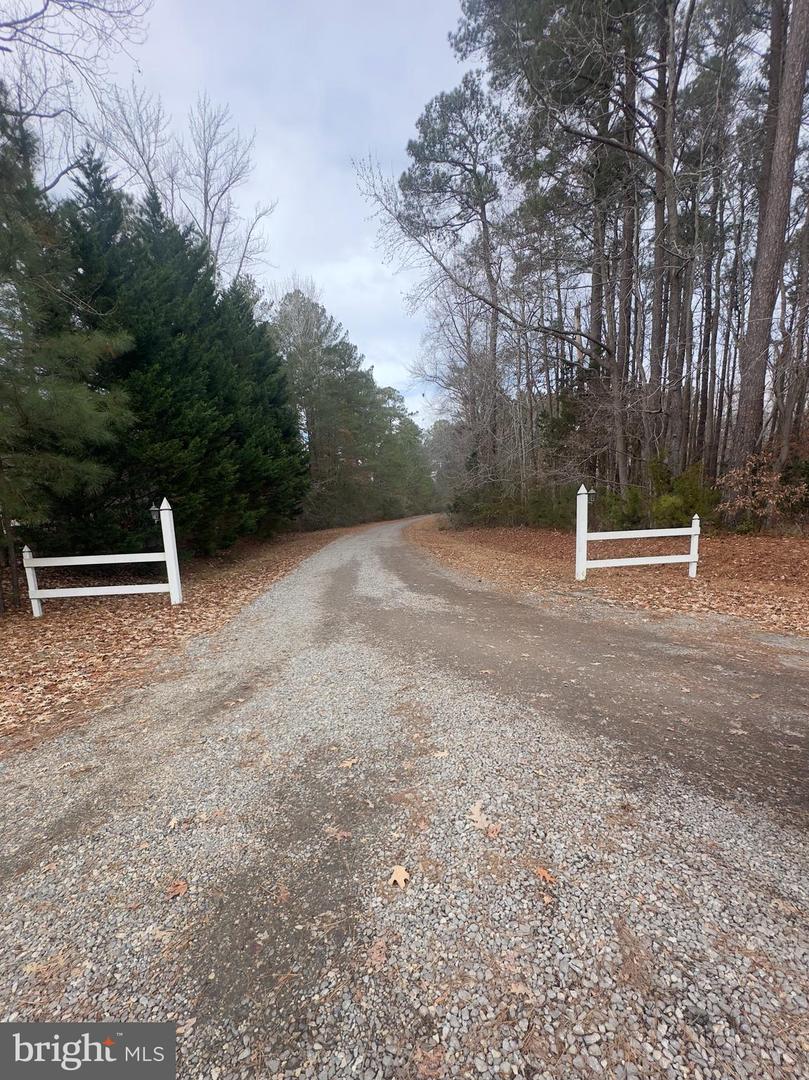 102B BEECHWOOD DRIVE, WEEMS, Virginia 22576, ,Land,For sale,102B BEECHWOOD DRIVE,VALV2000924 MLS # VALV2000924 102B BEECHWOOD DRIVE, WEEMS, Virginia 22576, ,Land,For sale,102B BEECHWOOD DRIVE,VALV2000924 MLS # VALV2000924