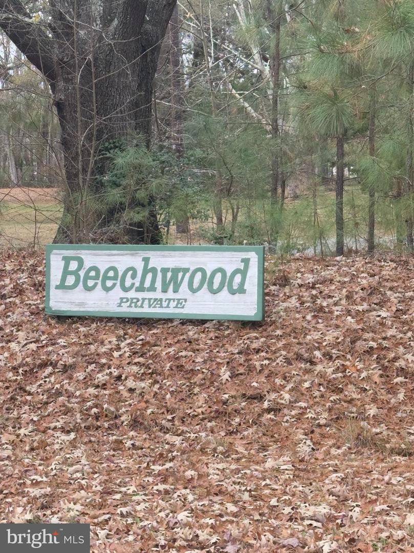 102B BEECHWOOD DRIVE, WEEMS, Virginia 22576, ,Land,For sale,102B BEECHWOOD DRIVE,VALV2000924 MLS # VALV2000924 102B BEECHWOOD DRIVE, WEEMS, Virginia 22576, ,Land,For sale,102B BEECHWOOD DRIVE,VALV2000924 MLS # VALV2000924