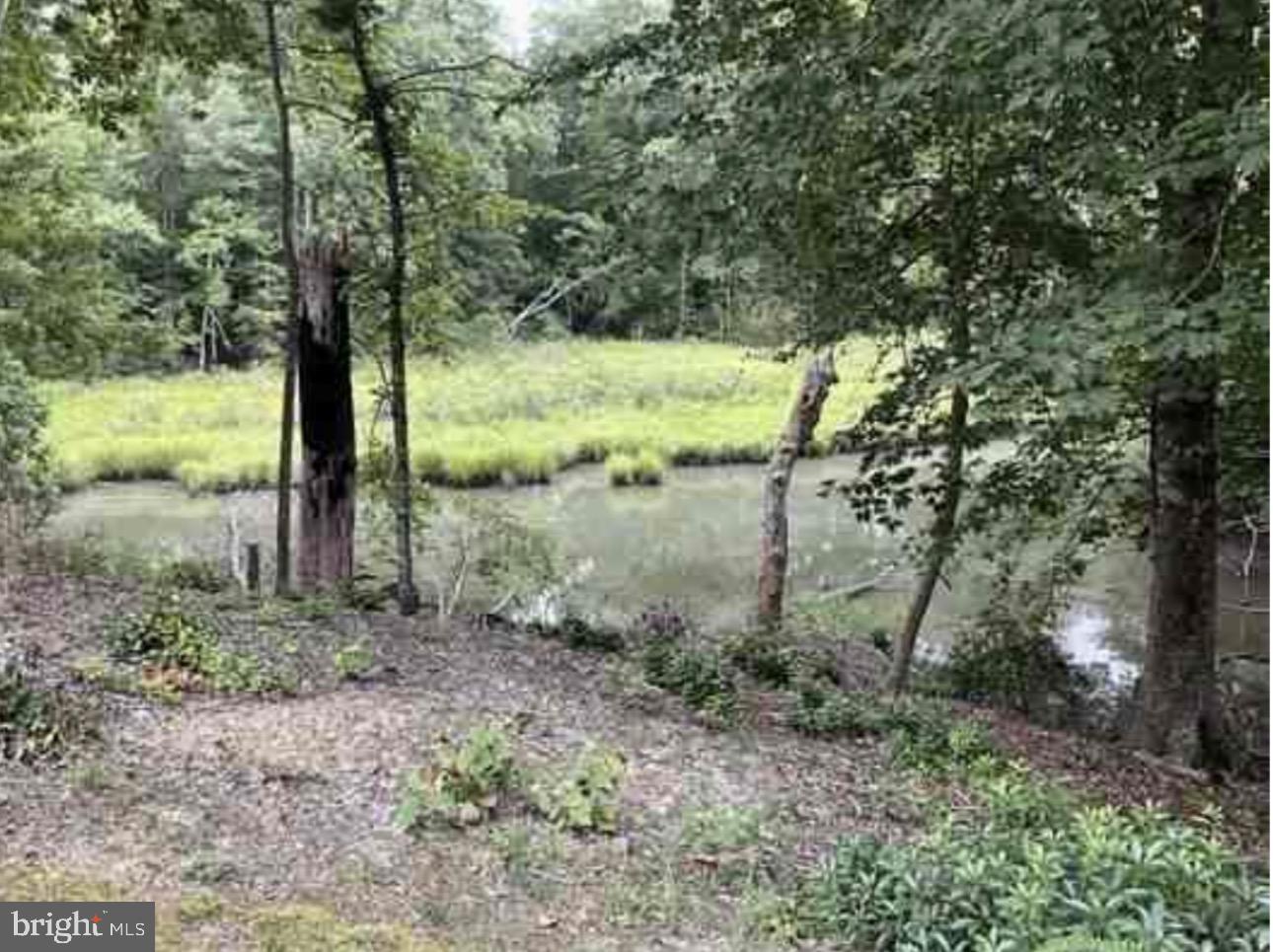 102B BEECHWOOD DRIVE, WEEMS, Virginia 22576, ,Land,For sale,102B BEECHWOOD DRIVE,VALV2000924 MLS # VALV2000924 102B BEECHWOOD DRIVE, WEEMS, Virginia 22576, ,Land,For sale,102B BEECHWOOD DRIVE,VALV2000924 MLS # VALV2000924