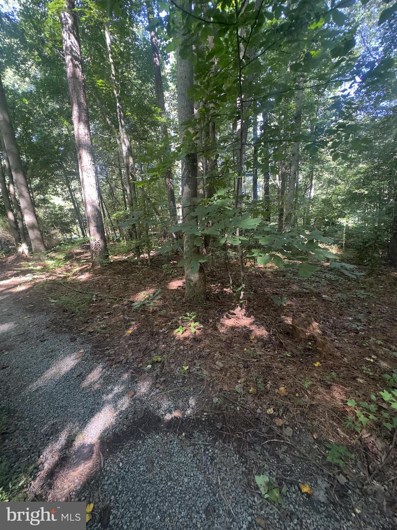 102B BEECHWOOD DRIVE, WEEMS, Virginia 22576, ,Land,For sale,102B BEECHWOOD DRIVE,VALV2000924 MLS # VALV2000924 102B BEECHWOOD DRIVE, WEEMS, Virginia 22576, ,Land,For sale,102B BEECHWOOD DRIVE,VALV2000924 MLS # VALV2000924