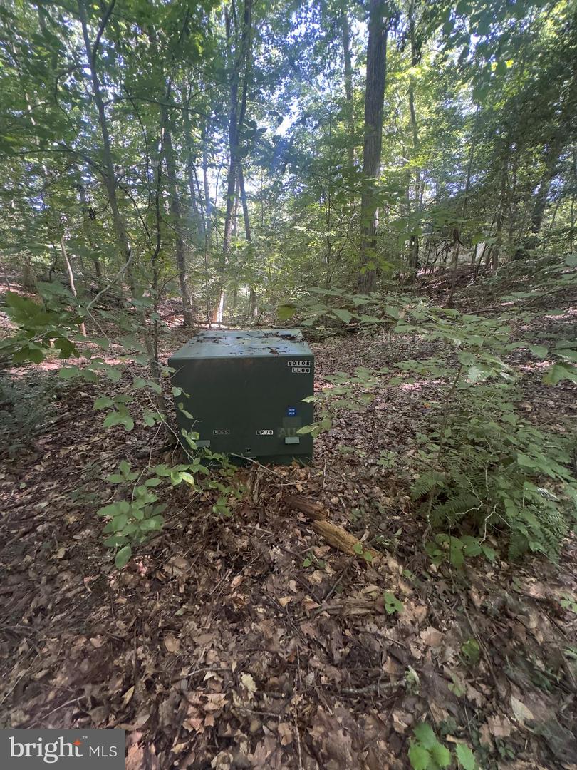 102B BEECHWOOD DRIVE, WEEMS, Virginia 22576, ,Land,For sale,102B BEECHWOOD DRIVE,VALV2000924 MLS # VALV2000924 102B BEECHWOOD DRIVE, WEEMS, Virginia 22576, ,Land,For sale,102B BEECHWOOD DRIVE,VALV2000924 MLS # VALV2000924