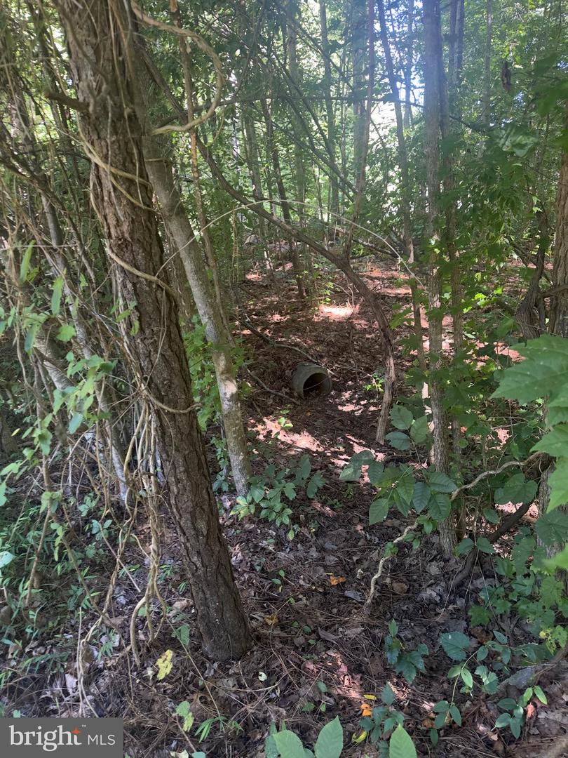 102B BEECHWOOD DRIVE, WEEMS, Virginia 22576, ,Land,For sale,102B BEECHWOOD DRIVE,VALV2000924 MLS # VALV2000924 102B BEECHWOOD DRIVE, WEEMS, Virginia 22576, ,Land,For sale,102B BEECHWOOD DRIVE,VALV2000924 MLS # VALV2000924