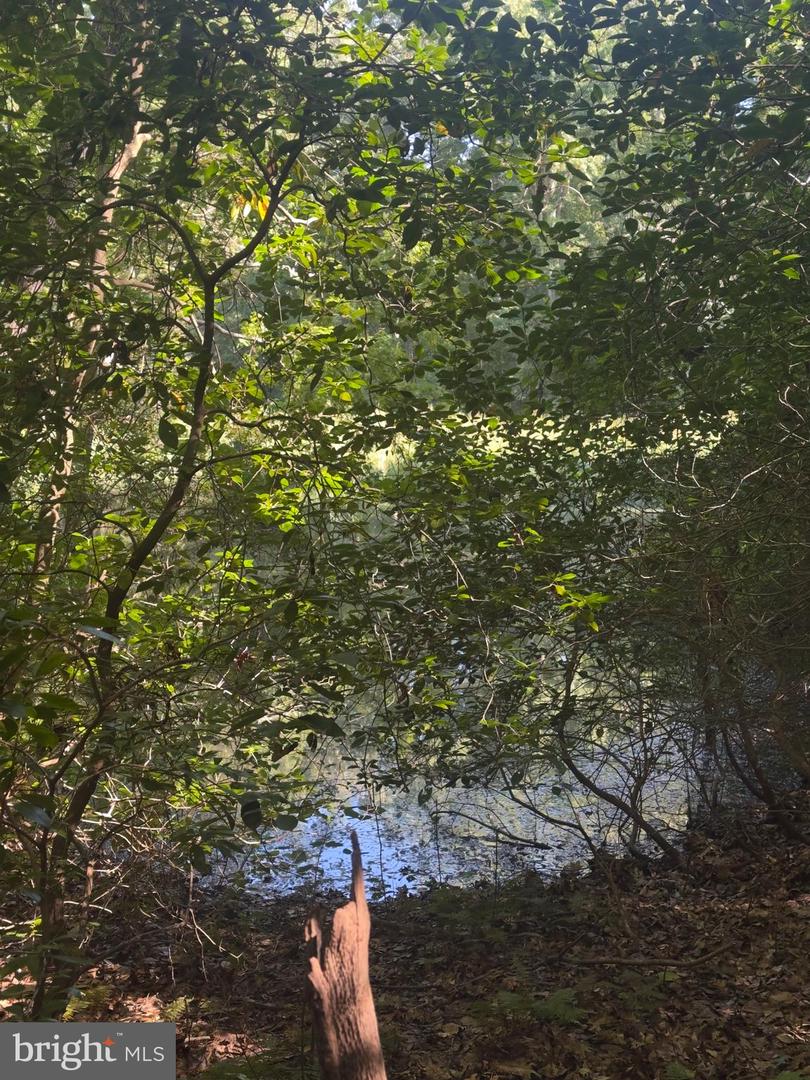 102B BEECHWOOD DRIVE, WEEMS, Virginia 22576, ,Land,For sale,102B BEECHWOOD DRIVE,VALV2000924 MLS # VALV2000924 102B BEECHWOOD DRIVE, WEEMS, Virginia 22576, ,Land,For sale,102B BEECHWOOD DRIVE,VALV2000924 MLS # VALV2000924