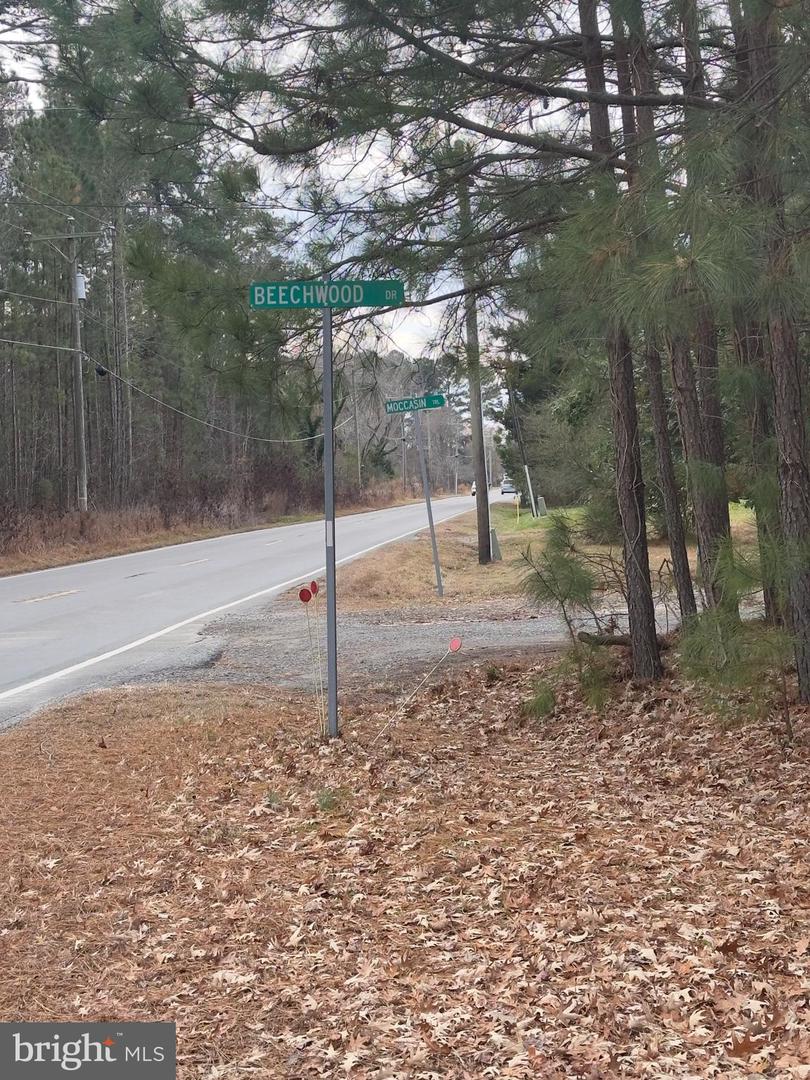 102B BEECHWOOD DRIVE, WEEMS, Virginia 22576, ,Land,For sale,102B BEECHWOOD DRIVE,VALV2000924 MLS # VALV2000924 102B BEECHWOOD DRIVE, WEEMS, Virginia 22576, ,Land,For sale,102B BEECHWOOD DRIVE,VALV2000924 MLS # VALV2000924