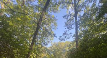 102B BEECHWOOD DRIVE, WEEMS, Virginia 22576, ,Land,For sale,102B BEECHWOOD DRIVE,VALV2000924 MLS # VALV2000924