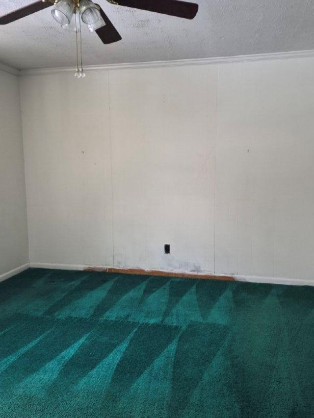 353 CLARKS HILL LN, SCHUYLER, Virginia 22969, 2 Bedrooms Bedrooms, ,1 BathroomBathrooms,Residential,353 CLARKS HILL LN,671773 MLS # 671773 353 CLARKS HILL LN, SCHUYLER, Virginia 22969, 2 Bedrooms Bedrooms, ,1 BathroomBathrooms,Residential,353 CLARKS HILL LN,671773 MLS # 671773