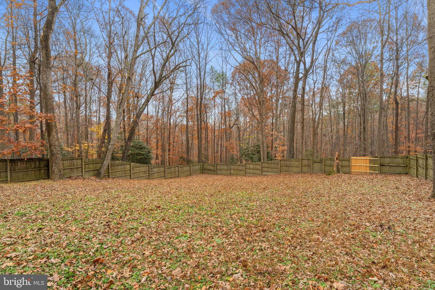 14429 FOX KNOLL DR, SOUTH CHESTERFIELD, Virginia 23834, 4 Bedrooms Bedrooms, ,2 BathroomsBathrooms,Residential,For sale,14429 FOX KNOLL DR,VACF2001328 MLS # VACF2001328 14429 FOX KNOLL DR, SOUTH CHESTERFIELD, Virginia 23834, 4 Bedrooms Bedrooms, ,2 BathroomsBathrooms,Residential,For sale,14429 FOX KNOLL DR,VACF2001328 MLS # VACF2001328