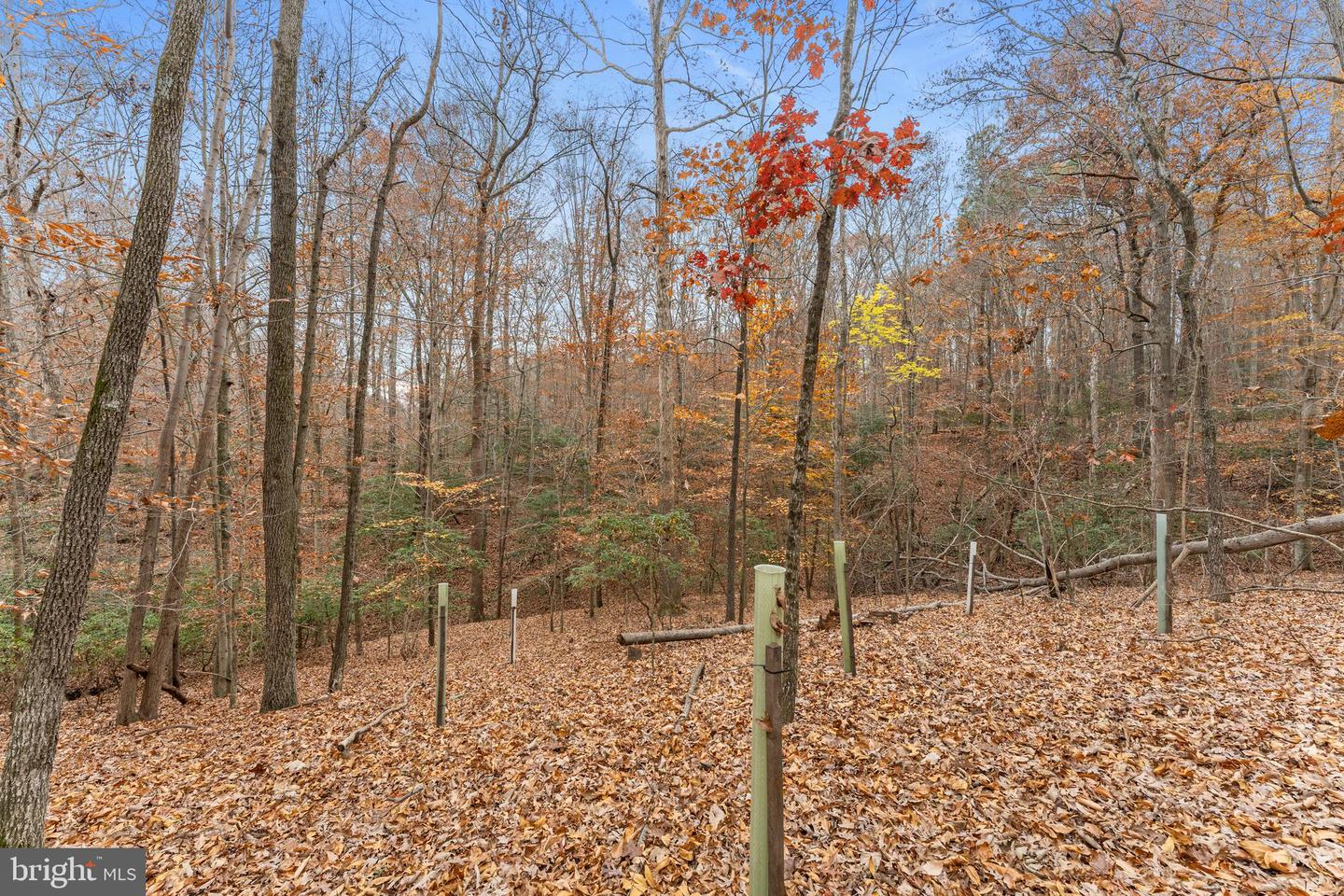 14429 FOX KNOLL DR, SOUTH CHESTERFIELD, Virginia 23834, 4 Bedrooms Bedrooms, ,2 BathroomsBathrooms,Residential,For sale,14429 FOX KNOLL DR,VACF2001328 MLS # VACF2001328 14429 FOX KNOLL DR, SOUTH CHESTERFIELD, Virginia 23834, 4 Bedrooms Bedrooms, ,2 BathroomsBathrooms,Residential,For sale,14429 FOX KNOLL DR,VACF2001328 MLS # VACF2001328