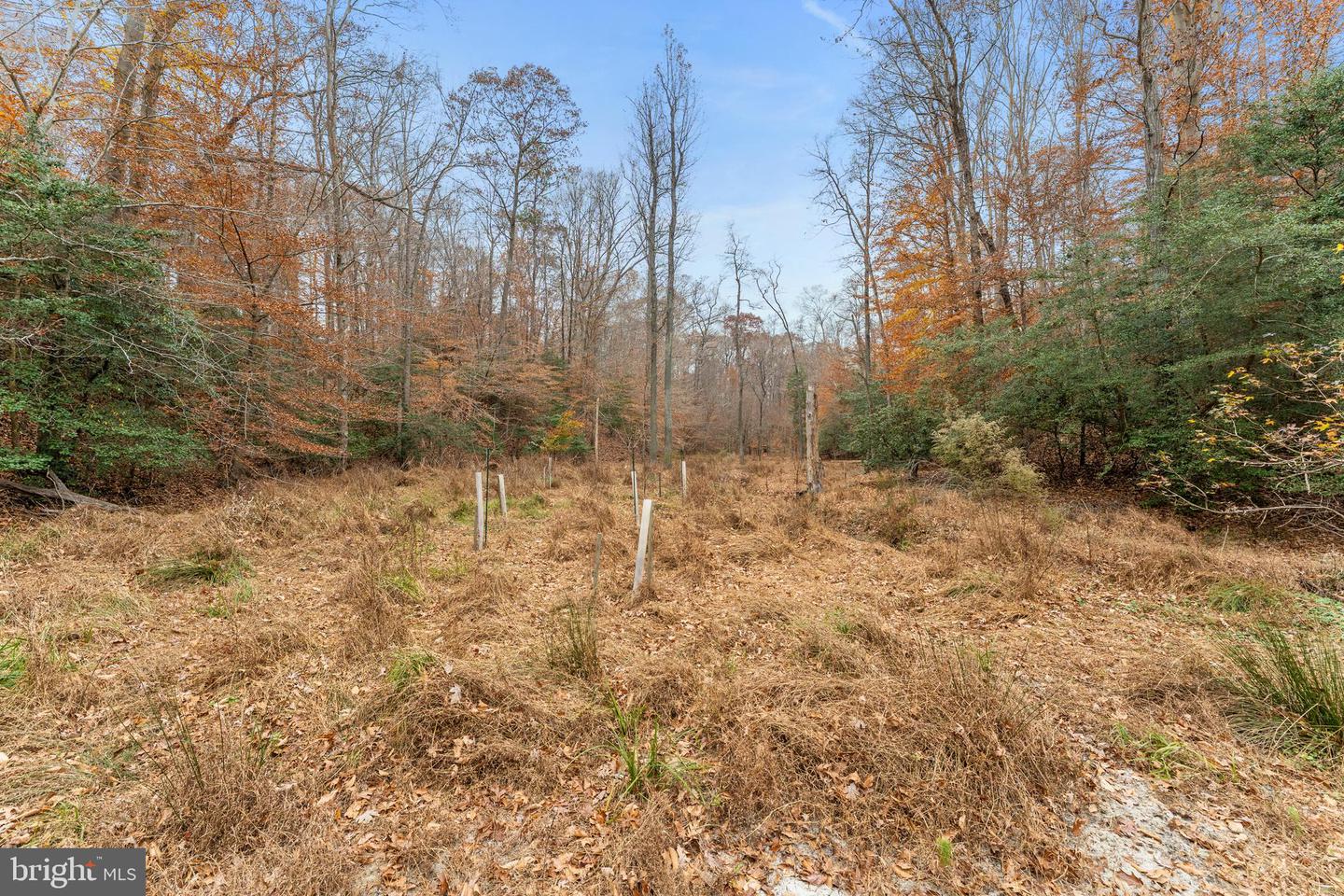 14429 FOX KNOLL DR, SOUTH CHESTERFIELD, Virginia 23834, 4 Bedrooms Bedrooms, ,2 BathroomsBathrooms,Residential,For sale,14429 FOX KNOLL DR,VACF2001328 MLS # VACF2001328 14429 FOX KNOLL DR, SOUTH CHESTERFIELD, Virginia 23834, 4 Bedrooms Bedrooms, ,2 BathroomsBathrooms,Residential,For sale,14429 FOX KNOLL DR,VACF2001328 MLS # VACF2001328