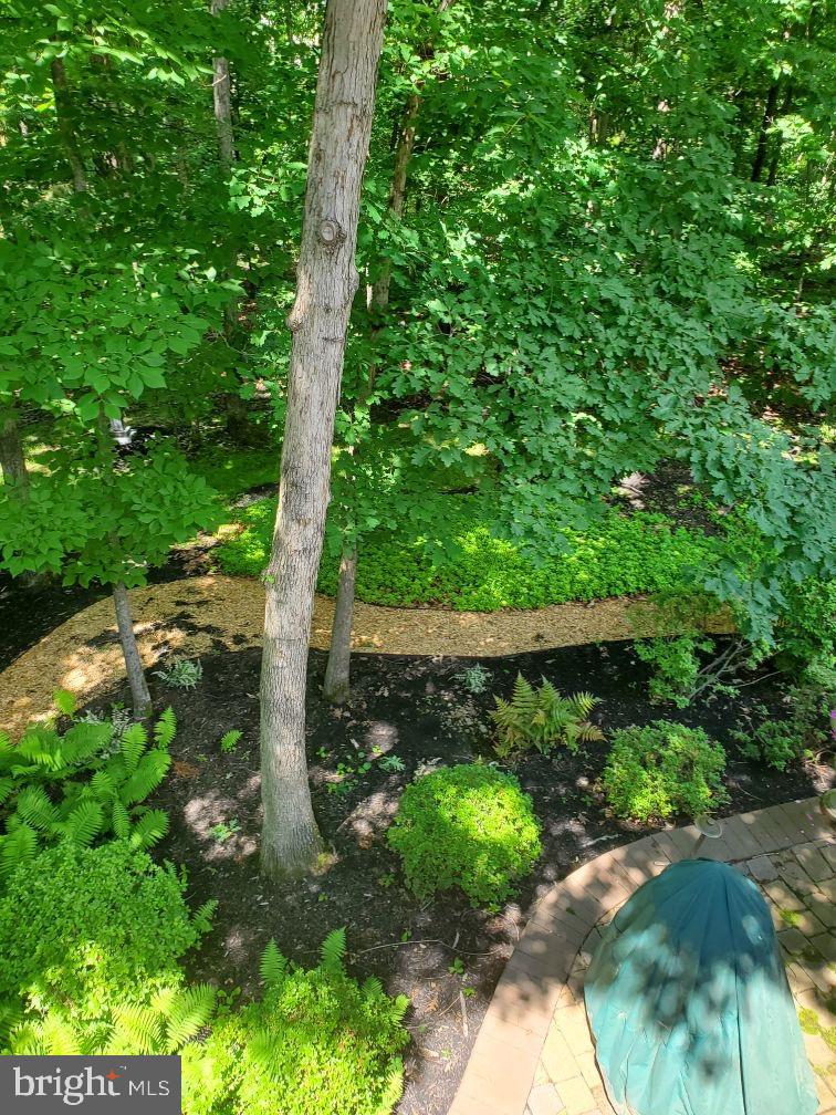 42831 FALLING LEAF CT, ASHBURN, Virginia 20148, 4 Bedrooms Bedrooms, ,3 BathroomsBathrooms,Residential,For sale,42831 FALLING LEAF CT,VALO2111138 MLS # VALO2111138 42831 FALLING LEAF CT, ASHBURN, Virginia 20148, 4 Bedrooms Bedrooms, ,3 BathroomsBathrooms,Residential,For sale,42831 FALLING LEAF CT,VALO2111138 MLS # VALO2111138