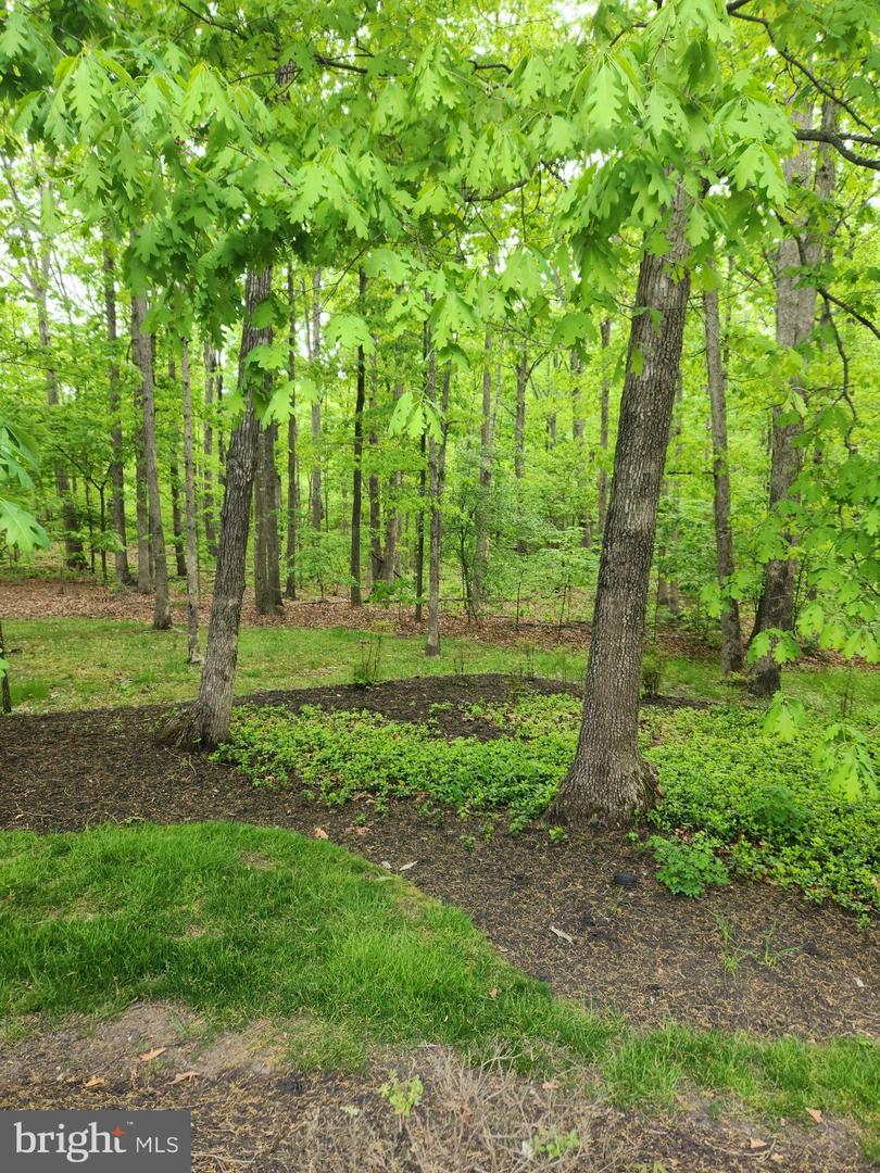 42831 FALLING LEAF CT, ASHBURN, Virginia 20148, 4 Bedrooms Bedrooms, ,3 BathroomsBathrooms,Residential,For sale,42831 FALLING LEAF CT,VALO2111138 MLS # VALO2111138 42831 FALLING LEAF CT, ASHBURN, Virginia 20148, 4 Bedrooms Bedrooms, ,3 BathroomsBathrooms,Residential,For sale,42831 FALLING LEAF CT,VALO2111138 MLS # VALO2111138