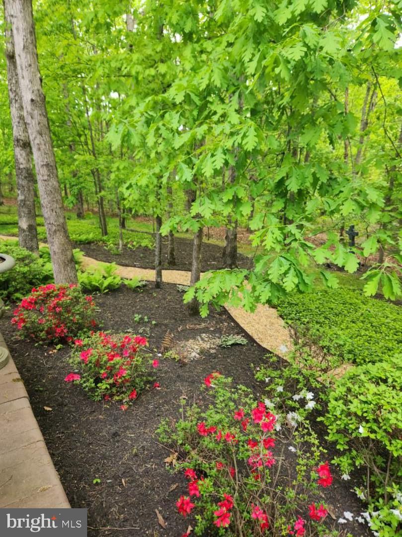 42831 FALLING LEAF CT, ASHBURN, Virginia 20148, 4 Bedrooms Bedrooms, ,3 BathroomsBathrooms,Residential,For sale,42831 FALLING LEAF CT,VALO2111138 MLS # VALO2111138 42831 FALLING LEAF CT, ASHBURN, Virginia 20148, 4 Bedrooms Bedrooms, ,3 BathroomsBathrooms,Residential,For sale,42831 FALLING LEAF CT,VALO2111138 MLS # VALO2111138