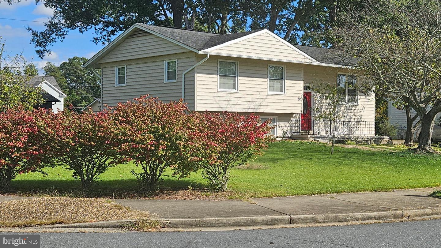 8001 HAMMOND ST, ALEXANDRIA, Virginia 22309, 5 Bedrooms Bedrooms, ,2 BathroomsBathrooms,Residential,For sale,8001 HAMMOND ST,VAFX2280958 MLS # VAFX2280958 8001 HAMMOND ST, ALEXANDRIA, Virginia 22309, 5 Bedrooms Bedrooms, ,2 BathroomsBathrooms,Residential,For sale,8001 HAMMOND ST,VAFX2280958 MLS # VAFX2280958