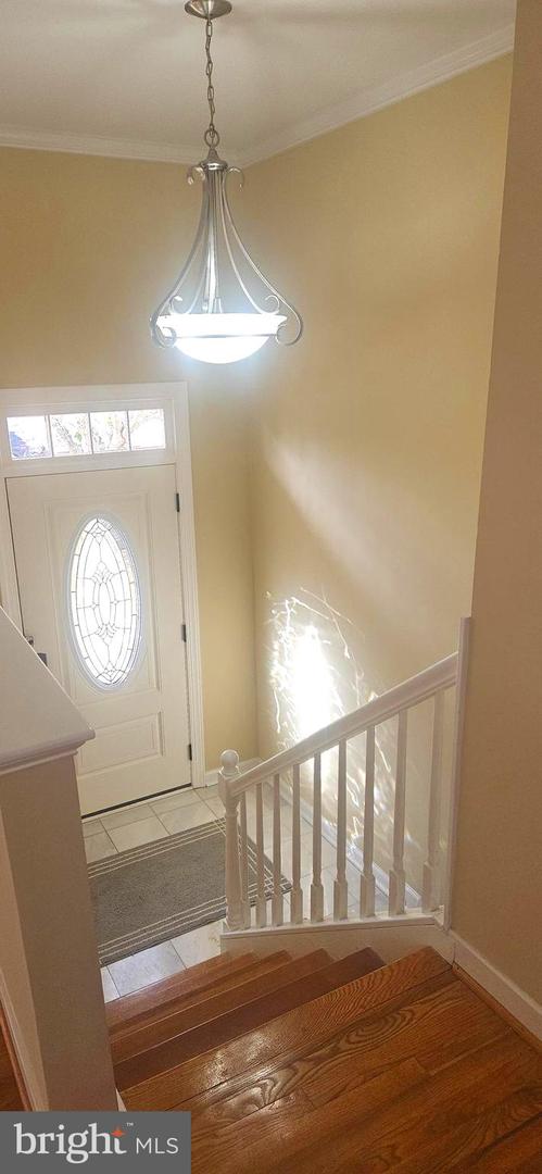 8001 HAMMOND ST, ALEXANDRIA, Virginia 22309, 5 Bedrooms Bedrooms, ,2 BathroomsBathrooms,Residential,For sale,8001 HAMMOND ST,VAFX2280958 MLS # VAFX2280958 8001 HAMMOND ST, ALEXANDRIA, Virginia 22309, 5 Bedrooms Bedrooms, ,2 BathroomsBathrooms,Residential,For sale,8001 HAMMOND ST,VAFX2280958 MLS # VAFX2280958