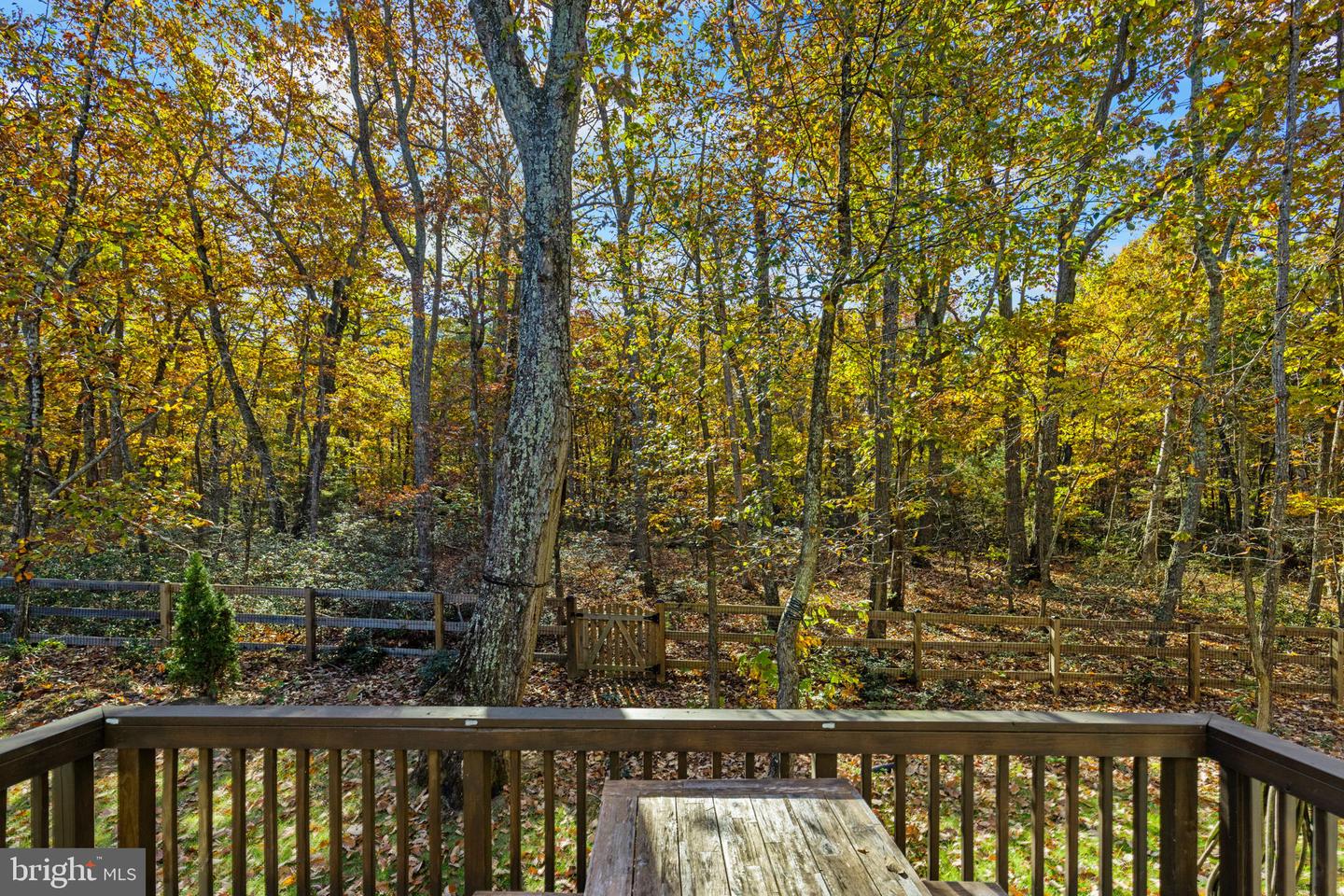 12611 WILDERNESS PARK DR, SPOTSYLVANIA, Virginia 22551, 3 Bedrooms Bedrooms, ,3 BathroomsBathrooms,Residential,For sale,12611 WILDERNESS PARK DR,VASP2037898 MLS # VASP2037898 12611 WILDERNESS PARK DR, SPOTSYLVANIA, Virginia 22551, 3 Bedrooms Bedrooms, ,3 BathroomsBathrooms,Residential,For sale,12611 WILDERNESS PARK DR,VASP2037898 MLS # VASP2037898