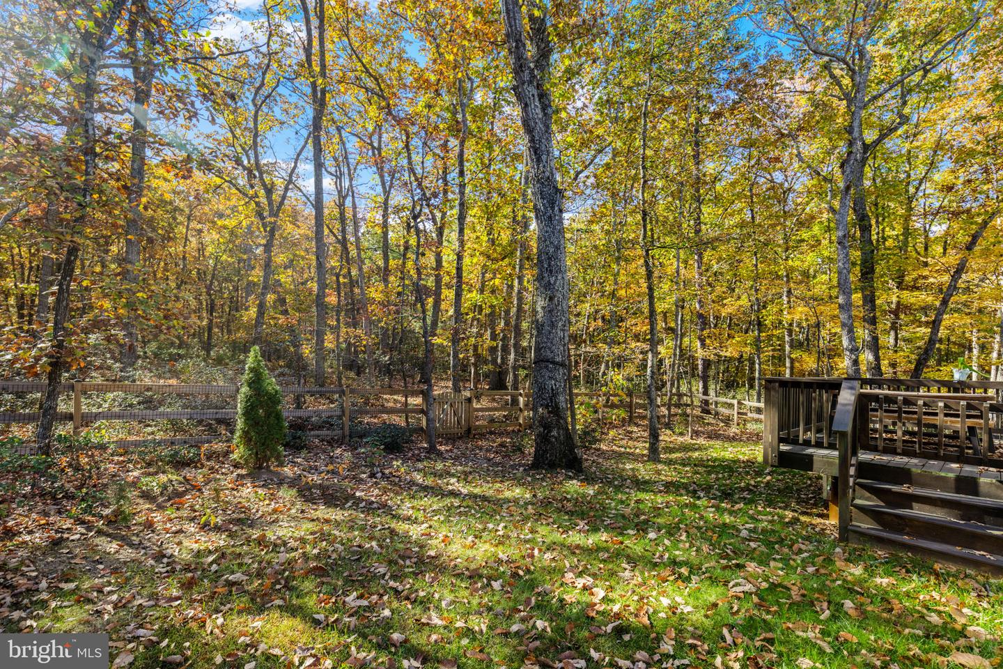 12611 WILDERNESS PARK DR, SPOTSYLVANIA, Virginia 22551, 3 Bedrooms Bedrooms, ,3 BathroomsBathrooms,Residential,For sale,12611 WILDERNESS PARK DR,VASP2037898 MLS # VASP2037898 12611 WILDERNESS PARK DR, SPOTSYLVANIA, Virginia 22551, 3 Bedrooms Bedrooms, ,3 BathroomsBathrooms,Residential,For sale,12611 WILDERNESS PARK DR,VASP2037898 MLS # VASP2037898