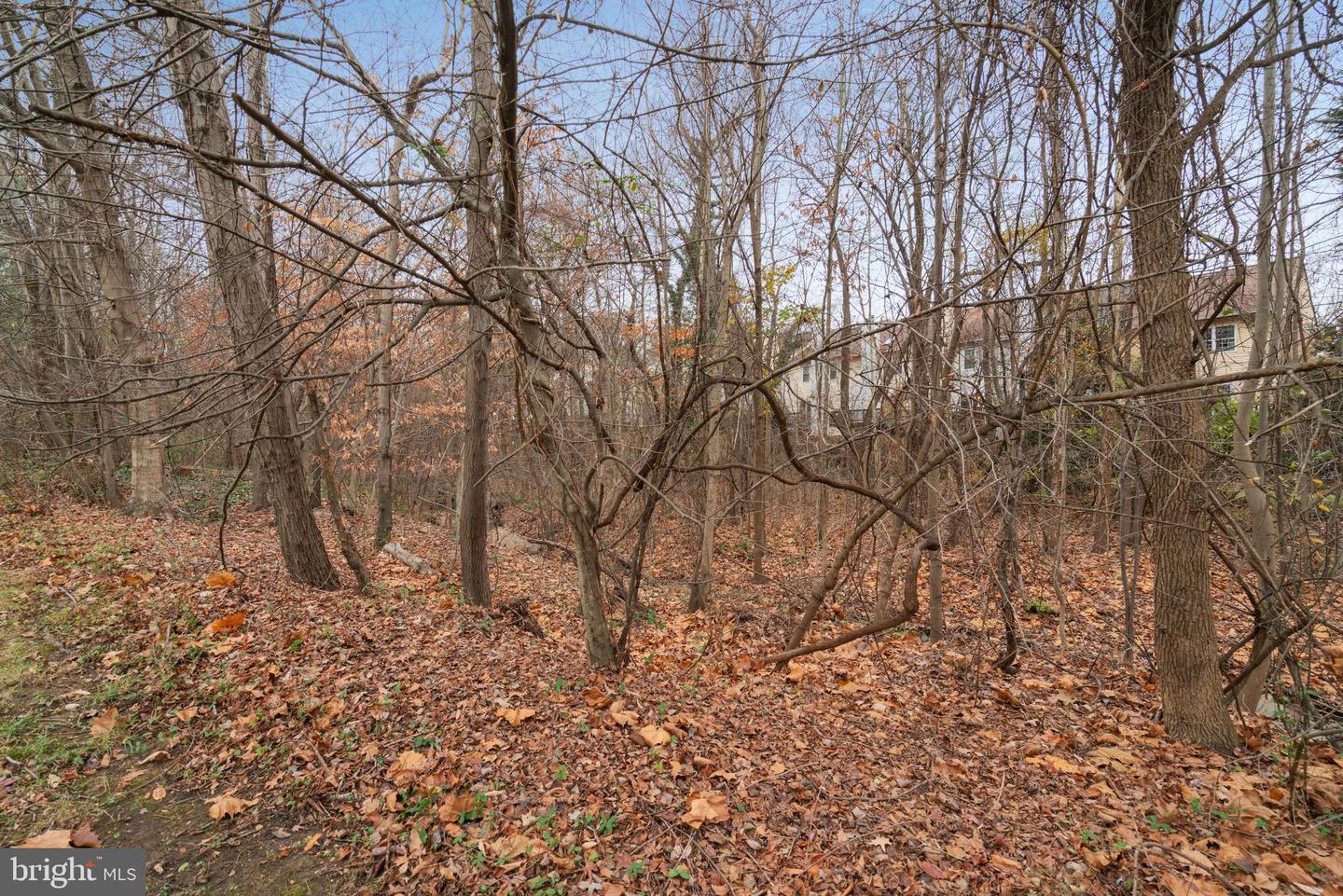 5880 LANGTON DR, ALEXANDRIA, Virginia 22310, 3 Bedrooms Bedrooms, ,2 BathroomsBathrooms,Residential,For sale,5880 LANGTON DR,VAFX2281372 MLS # VAFX2281372 5880 LANGTON DR, ALEXANDRIA, Virginia 22310, 3 Bedrooms Bedrooms, ,2 BathroomsBathrooms,Residential,For sale,5880 LANGTON DR,VAFX2281372 MLS # VAFX2281372