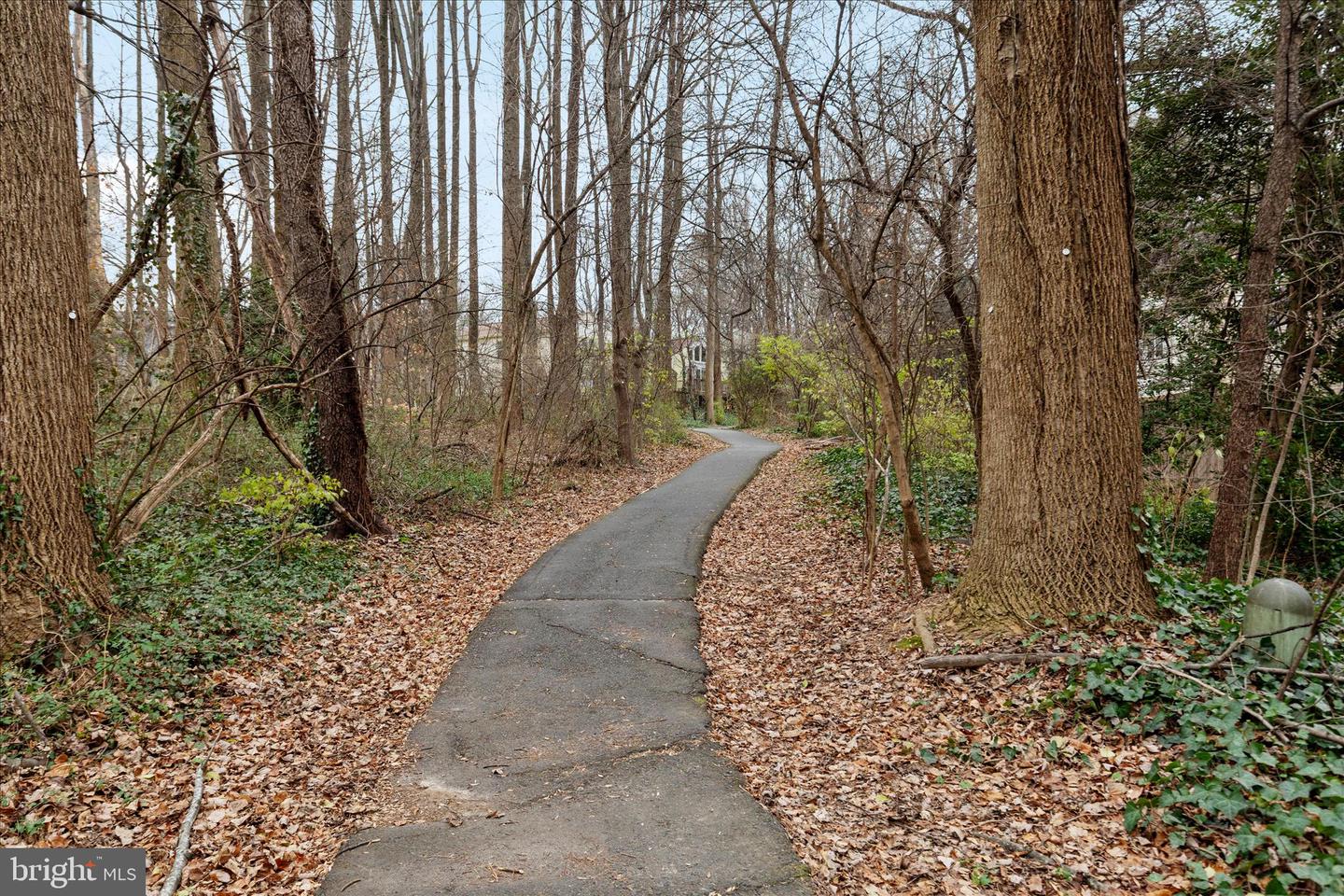 5808 WOOD LAUREL CT, BURKE, Virginia 22015, 5 Bedrooms Bedrooms, 19 Rooms Rooms,3 BathroomsBathrooms,Residential,For sale,5808 WOOD LAUREL CT,VAFX2281774 MLS # VAFX2281774 5808 WOOD LAUREL CT, BURKE, Virginia 22015, 5 Bedrooms Bedrooms, 19 Rooms Rooms,3 BathroomsBathrooms,Residential,For sale,5808 WOOD LAUREL CT,VAFX2281774 MLS # VAFX2281774