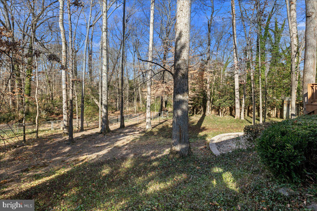 4302 ADRIENNE DR, ALEXANDRIA, Virginia 22309, 4 Bedrooms Bedrooms, ,2 BathroomsBathrooms,Residential,For sale,4302 ADRIENNE DR,VAFX2281832 MLS # VAFX2281832 4302 ADRIENNE DR, ALEXANDRIA, Virginia 22309, 4 Bedrooms Bedrooms, ,2 BathroomsBathrooms,Residential,For sale,4302 ADRIENNE DR,VAFX2281832 MLS # VAFX2281832