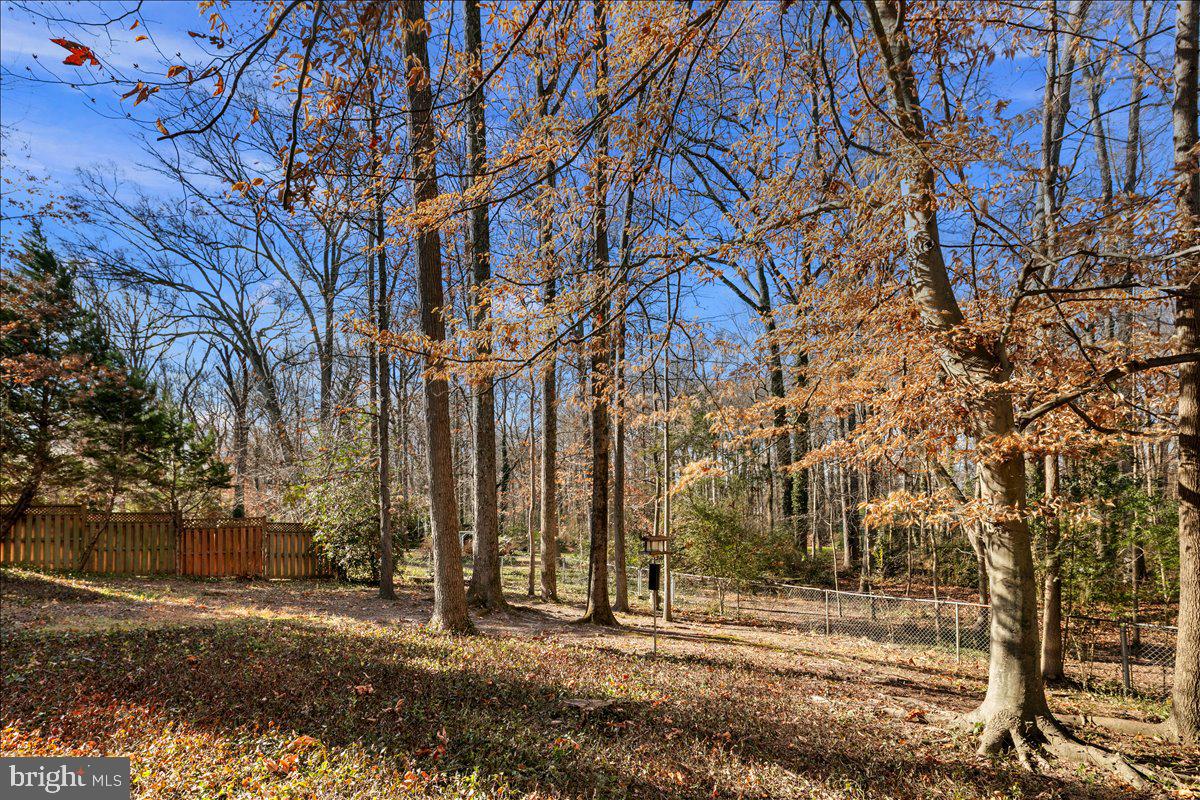 4302 ADRIENNE DR, ALEXANDRIA, Virginia 22309, 4 Bedrooms Bedrooms, ,2 BathroomsBathrooms,Residential,For sale,4302 ADRIENNE DR,VAFX2281832 MLS # VAFX2281832 4302 ADRIENNE DR, ALEXANDRIA, Virginia 22309, 4 Bedrooms Bedrooms, ,2 BathroomsBathrooms,Residential,For sale,4302 ADRIENNE DR,VAFX2281832 MLS # VAFX2281832