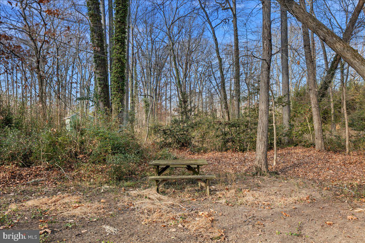 4302 ADRIENNE DR, ALEXANDRIA, Virginia 22309, 4 Bedrooms Bedrooms, ,2 BathroomsBathrooms,Residential,For sale,4302 ADRIENNE DR,VAFX2281832 MLS # VAFX2281832 4302 ADRIENNE DR, ALEXANDRIA, Virginia 22309, 4 Bedrooms Bedrooms, ,2 BathroomsBathrooms,Residential,For sale,4302 ADRIENNE DR,VAFX2281832 MLS # VAFX2281832