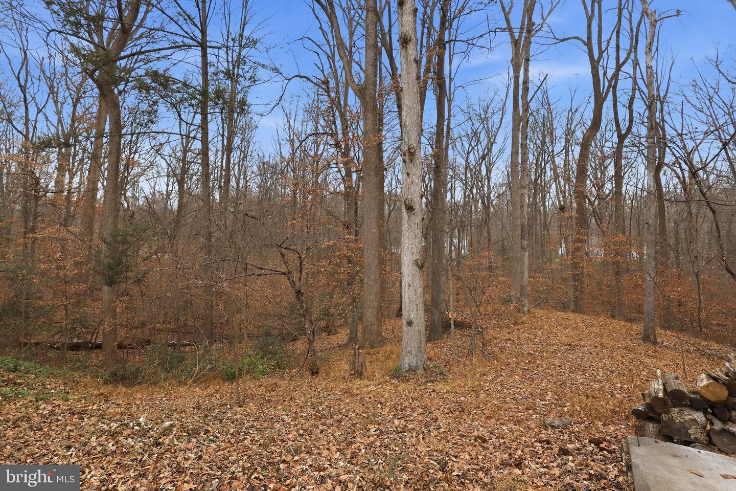 12651 PEAK CT, MANASSAS, Virginia 20112, 4 Bedrooms Bedrooms, ,2 BathroomsBathrooms,Residential,For sale,12651 PEAK CT,VAPW2108824 MLS # VAPW2108824 12651 PEAK CT, MANASSAS, Virginia 20112, 4 Bedrooms Bedrooms, ,2 BathroomsBathrooms,Residential,For sale,12651 PEAK CT,VAPW2108824 MLS # VAPW2108824