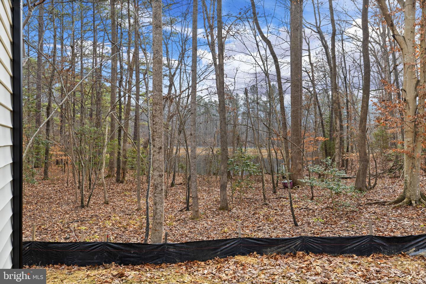 106 NEEDWOOD DR, RUTHER GLEN, Virginia 22546, 3 Bedrooms Bedrooms, ,2 BathroomsBathrooms,Residential,For sale,106 NEEDWOOD DR,VACV2009260 MLS # VACV2009260 106 NEEDWOOD DR, RUTHER GLEN, Virginia 22546, 3 Bedrooms Bedrooms, ,2 BathroomsBathrooms,Residential,For sale,106 NEEDWOOD DR,VACV2009260 MLS # VACV2009260