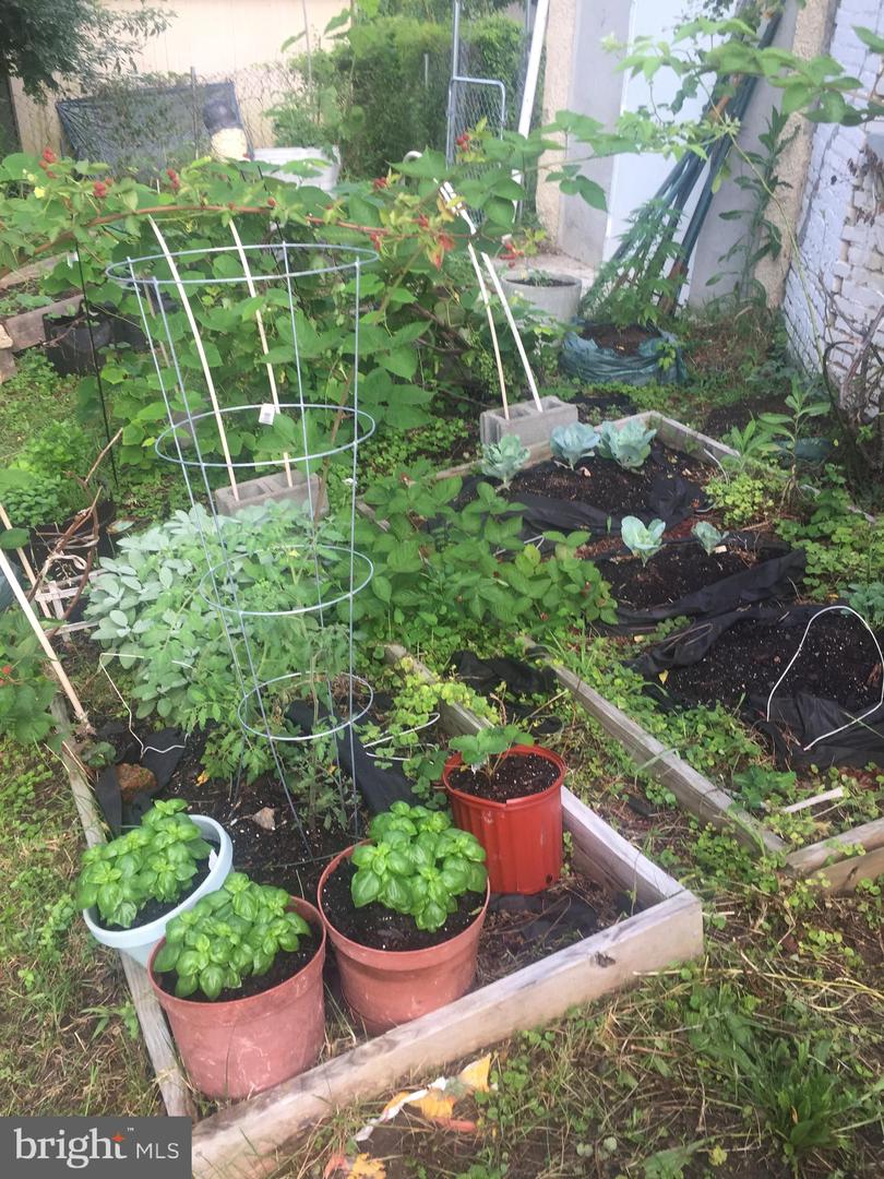 2906 25TH ST NE, WASHINGTON, District Of Columbia 20018, 5 Bedrooms Bedrooms, ,3 BathroomsBathrooms,Residential,For sale,2906 25TH ST NE,DCDC2145600 MLS # DCDC2145600 2906 25TH ST NE, WASHINGTON, District Of Columbia 20018, 5 Bedrooms Bedrooms, ,3 BathroomsBathrooms,Residential,For sale,2906 25TH ST NE,DCDC2145600 MLS # DCDC2145600