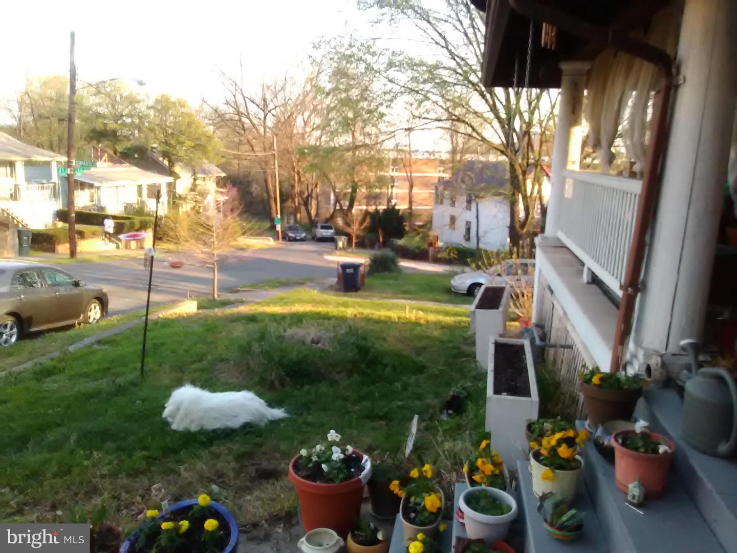 2906 25TH ST NE, WASHINGTON, District Of Columbia 20018, 5 Bedrooms Bedrooms, ,3 BathroomsBathrooms,Residential,For sale,2906 25TH ST NE,DCDC2145600 MLS # DCDC2145600 2906 25TH ST NE, WASHINGTON, District Of Columbia 20018, 5 Bedrooms Bedrooms, ,3 BathroomsBathrooms,Residential,For sale,2906 25TH ST NE,DCDC2145600 MLS # DCDC2145600