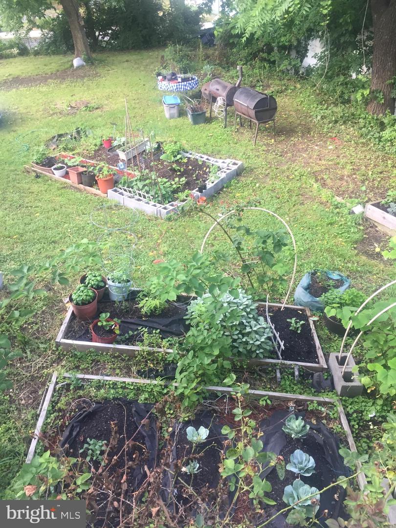 2906 25TH ST NE, WASHINGTON, District Of Columbia 20018, 5 Bedrooms Bedrooms, ,3 BathroomsBathrooms,Residential,For sale,2906 25TH ST NE,DCDC2145600 MLS # DCDC2145600 2906 25TH ST NE, WASHINGTON, District Of Columbia 20018, 5 Bedrooms Bedrooms, ,3 BathroomsBathrooms,Residential,For sale,2906 25TH ST NE,DCDC2145600 MLS # DCDC2145600